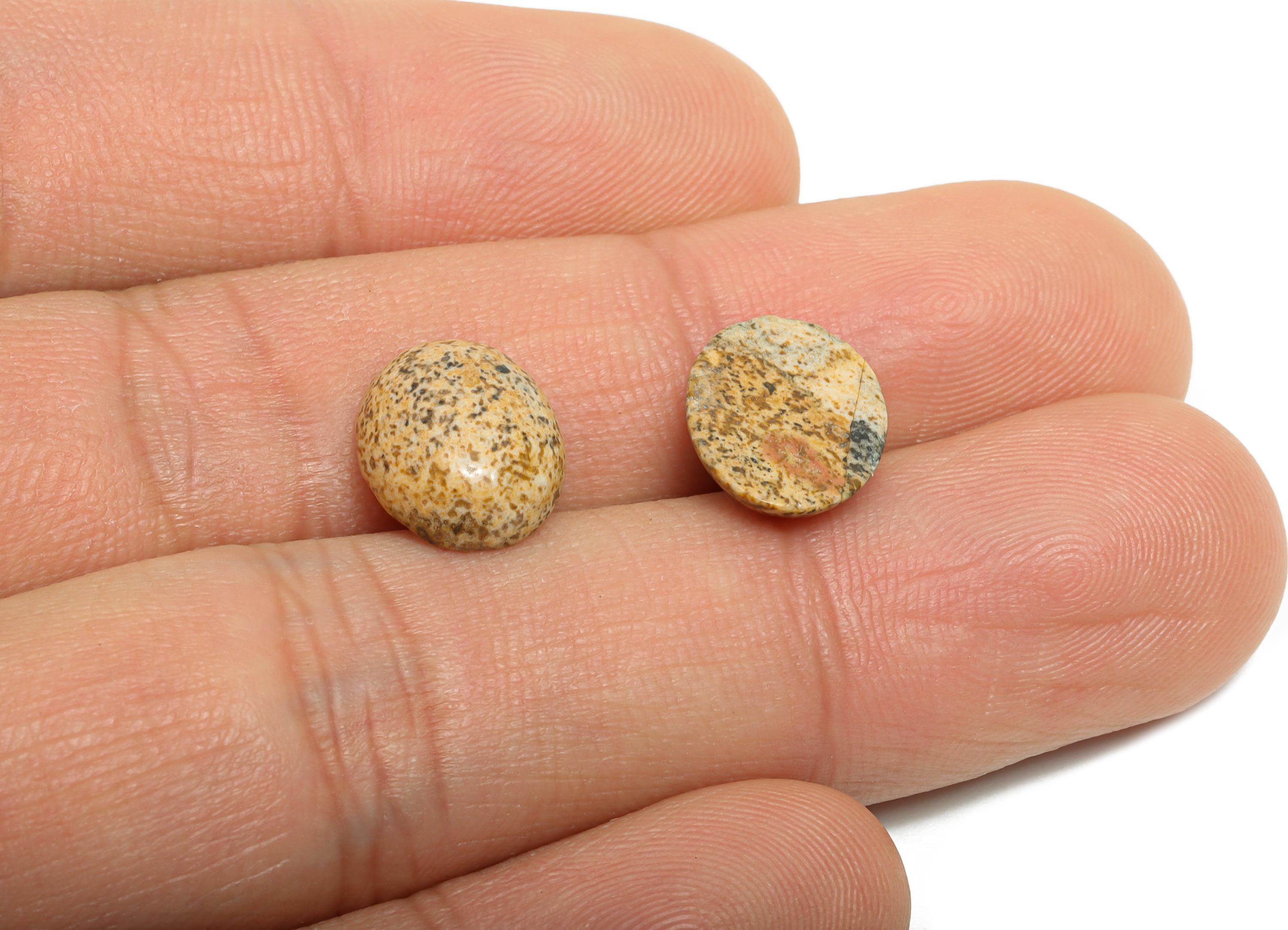10*12mm Picture Cabochon - Oval Natural Stone for Jewelry Making - Bezel Setting Stone for Ring or Pendant - DIY Craft Supplies - NS2903 - DOMEDBAZAAR