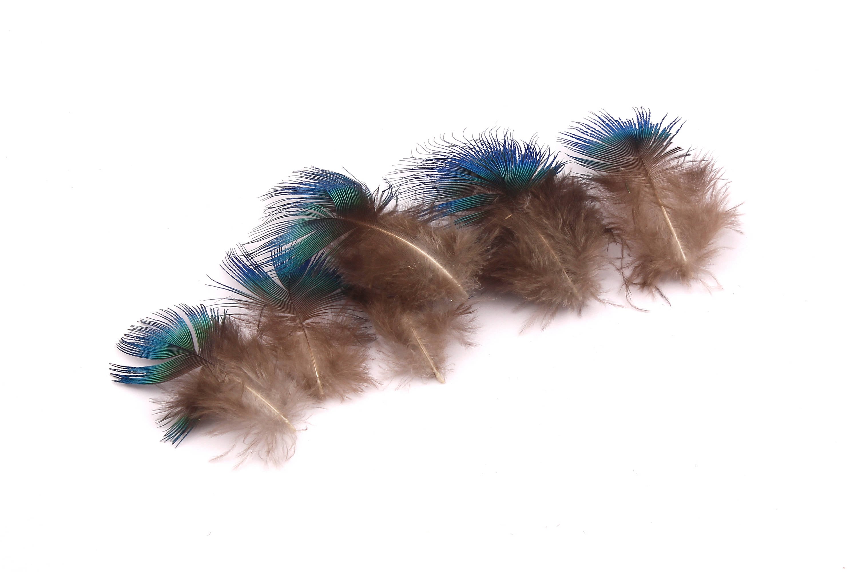 Natural Peacock Feather - Brown Plumage- (4-6cm) - Real Feathers for Jewelry, Costumes, Millinery, Decoration, Crafts - 100 Pieces - FF1008 - DOMEDBAZAAR