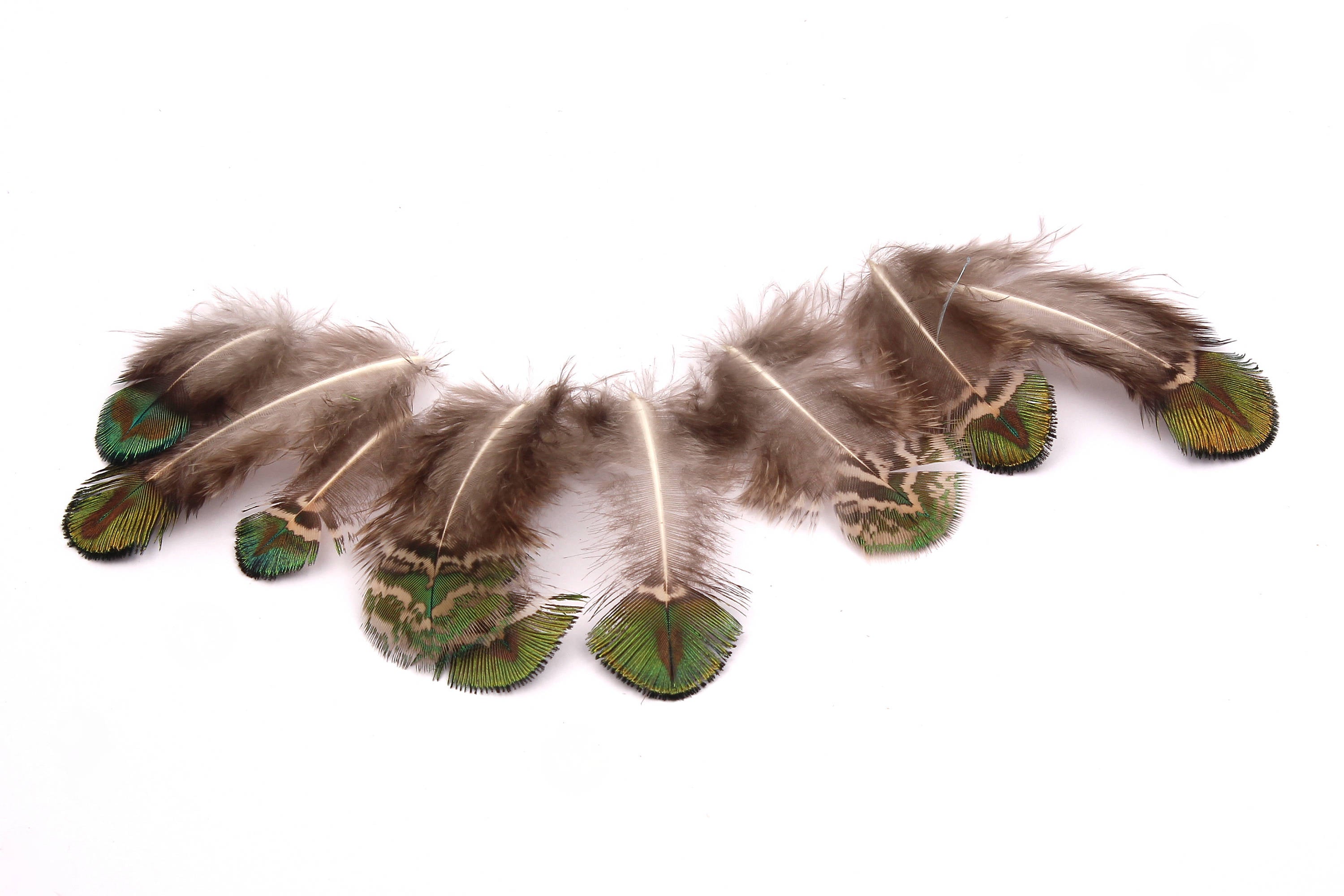 Natural Peacock Feather - Green Plumage - (4-7cm) - Real Feathers for Jewelry, Costumes, Millinery, Decoration, Crafts - 100 Pieces - FF1011 - DOMEDBAZAAR