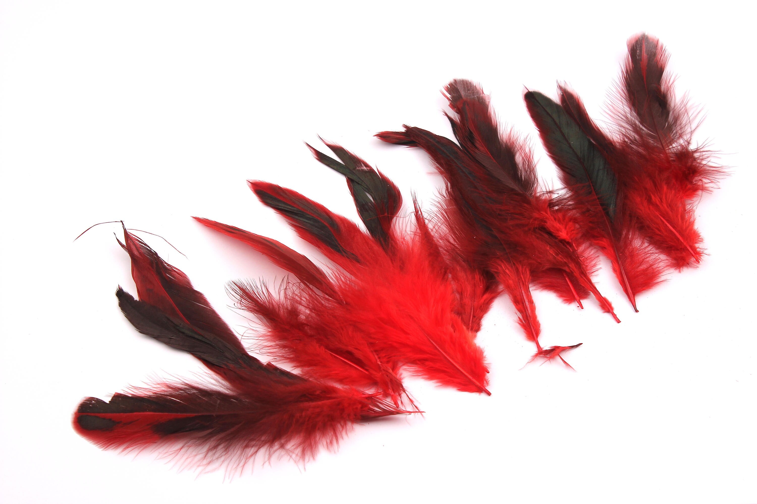 Natural Rooster Feather - Red Feather - (10-12cm) - Real Feathers for Jewelry, Costumes, Millinery, Decoration, Crafts - 50 Pieces - FF1006 - DOMEDBAZAAR