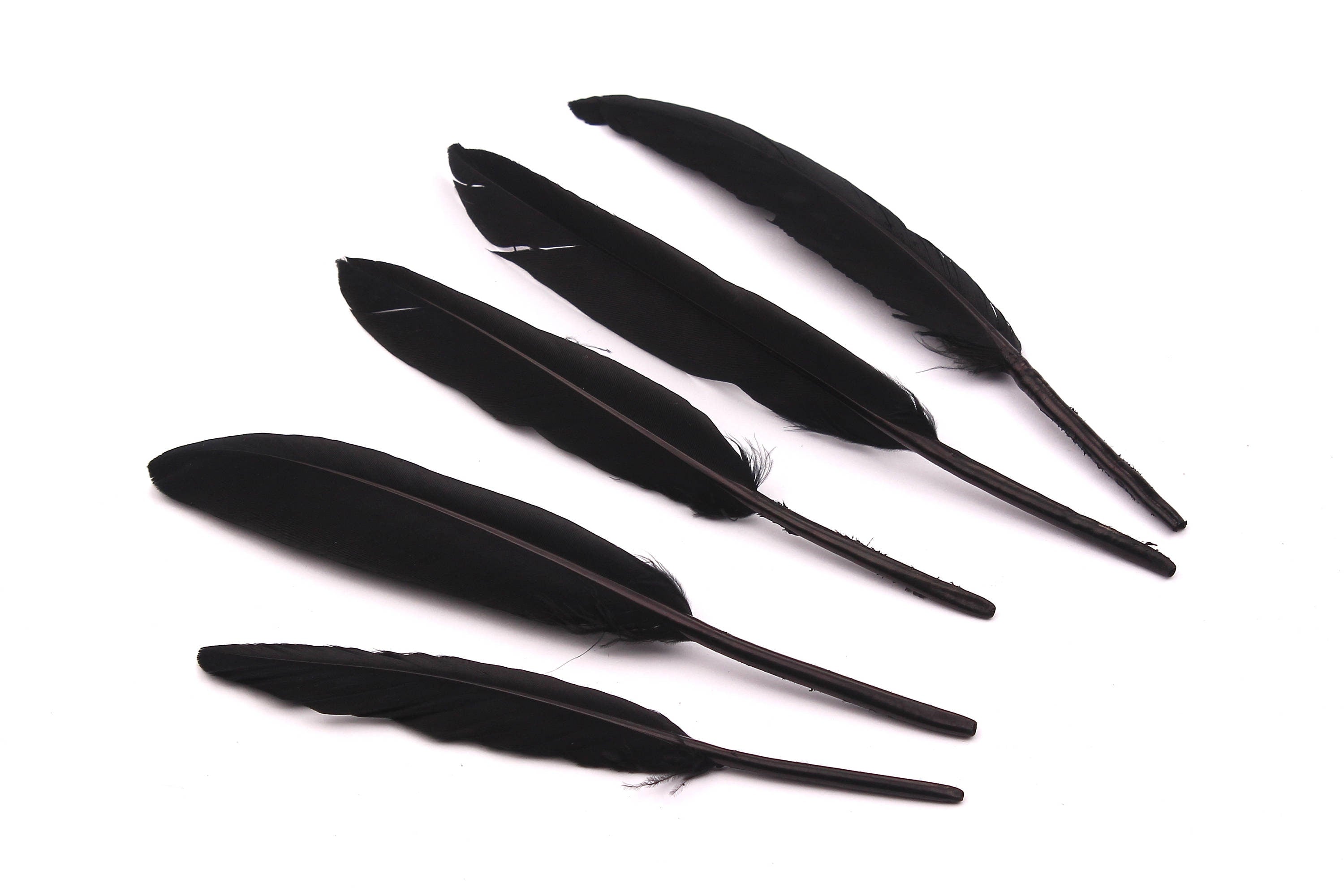 Goose Feather - Black Plumage - (12-15cm) - Real Feathers for Jewelry, Costumes, Millinery, Decoration, Crafts - 100 Pieces - FF1013BK - DOMEDBAZAAR