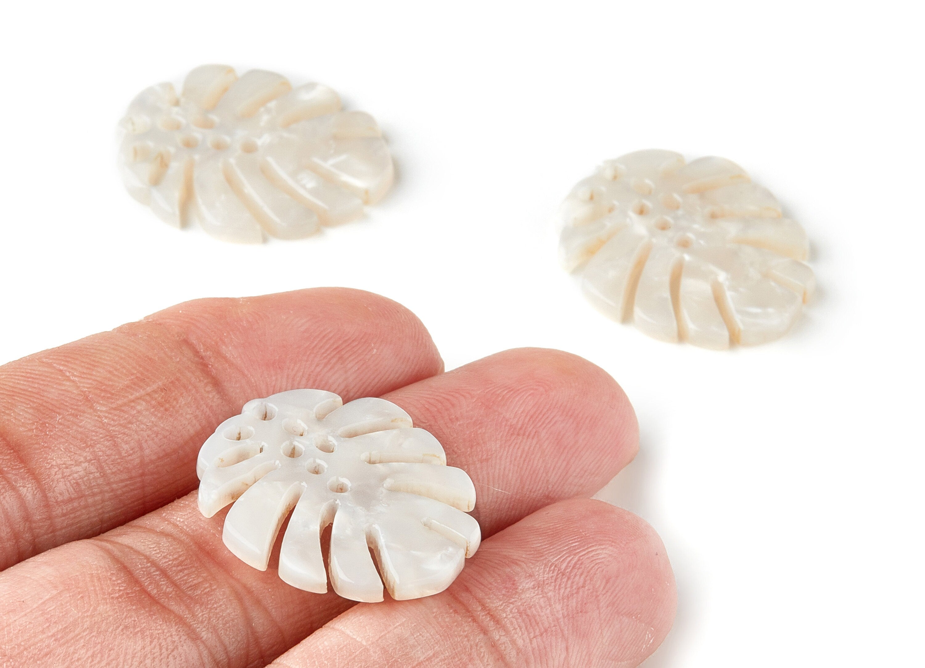 Acetate Monstera Charms - Monstera Earring and Pendant - Earring Findings - Color Code: A12 - 25.56x21.69x2.51mm - AC1601-A12 - DOMEDBAZAAR