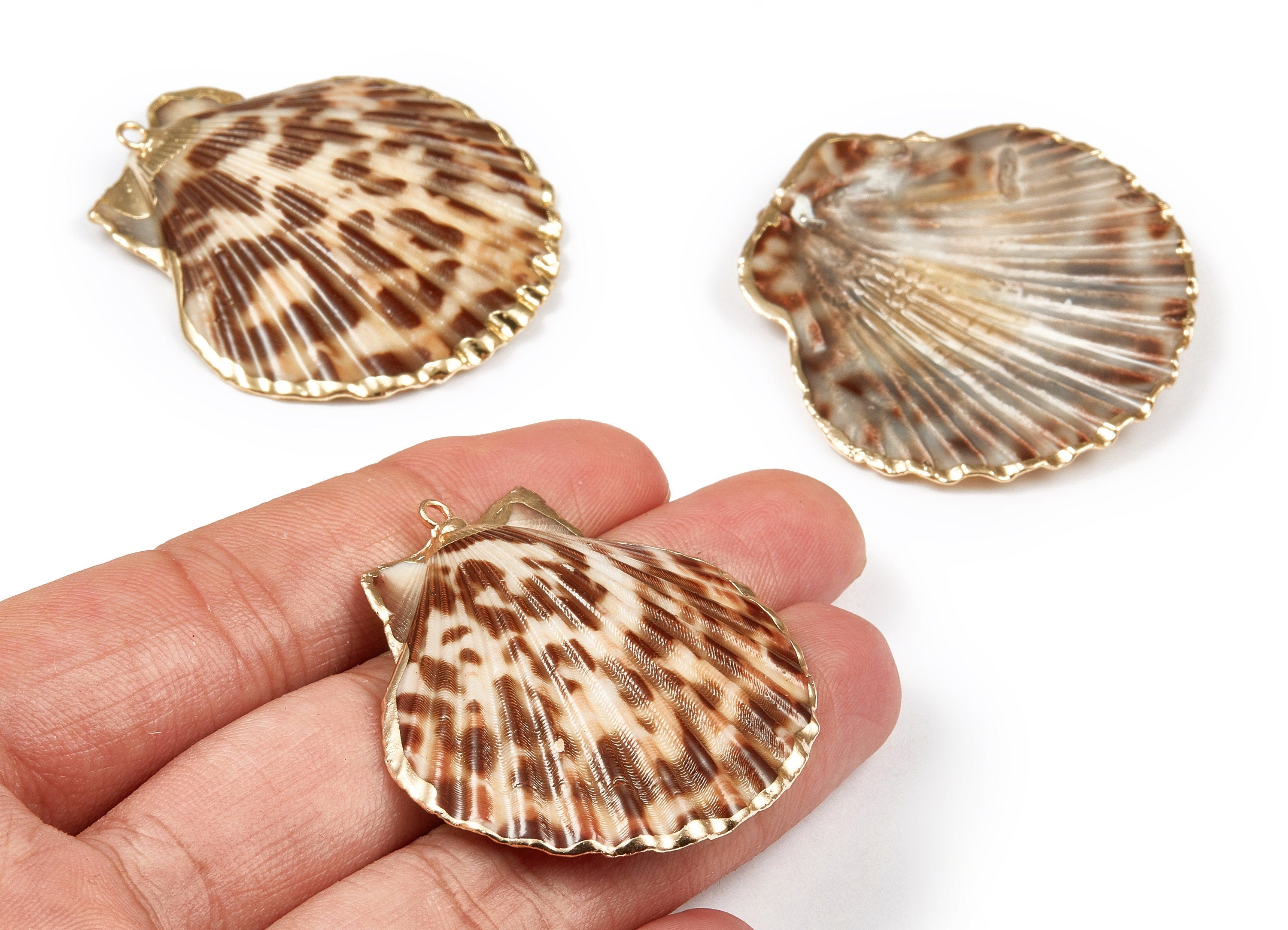 Mussel Shell Charms - Seashell Earrings and Pendant - Gold Tone Plated Earrings - 1 Hole - 50.32x48.7x2.15mm - SF1011C - DOMEDBAZAAR