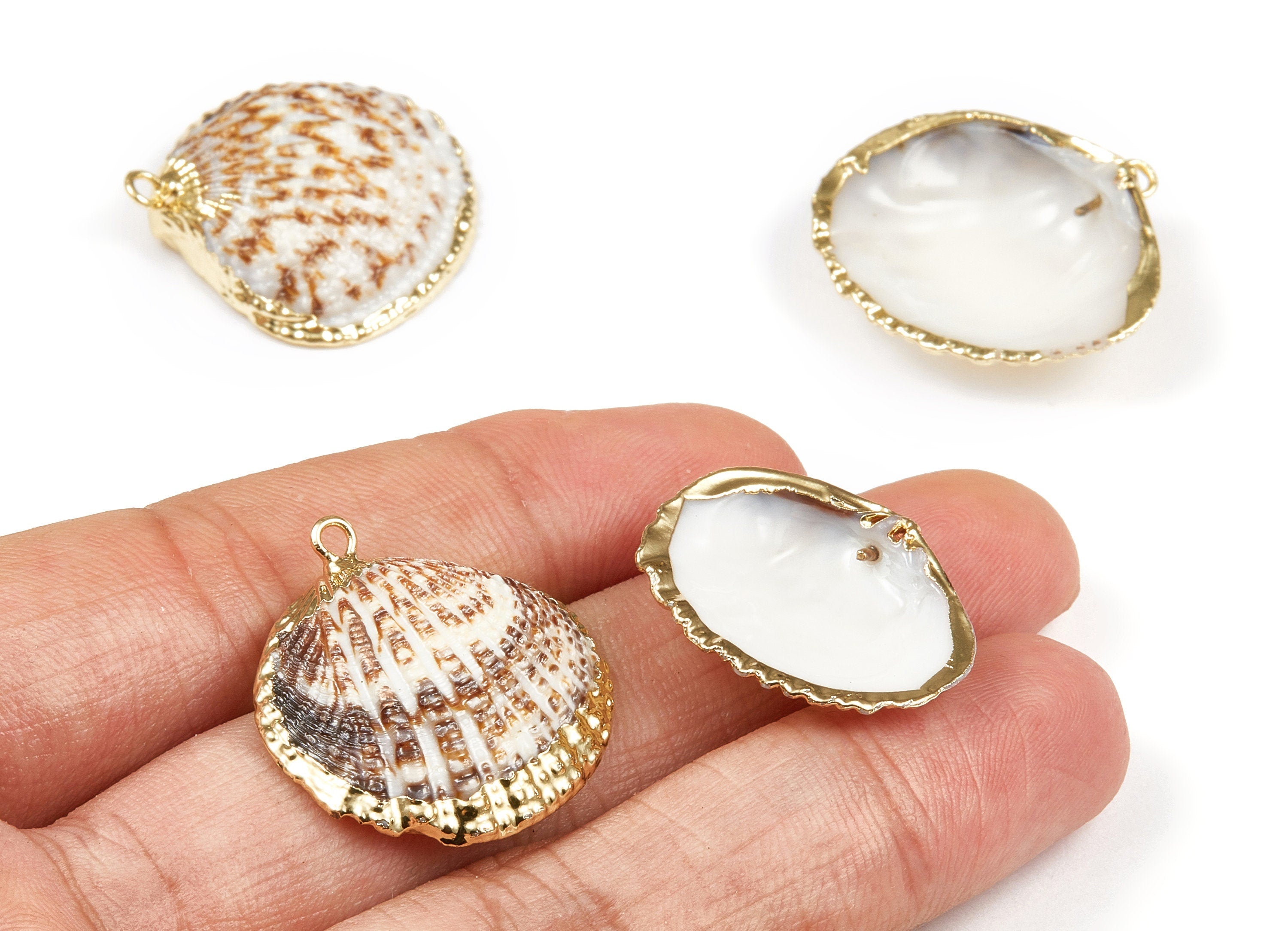 Mussel Shell Charms - Seashell Earrings and Pendant - Gold Tone Plated Earrings - 1 Hole - 26.52x25.42x1.873mm - SF1085 - DOMEDBAZAAR