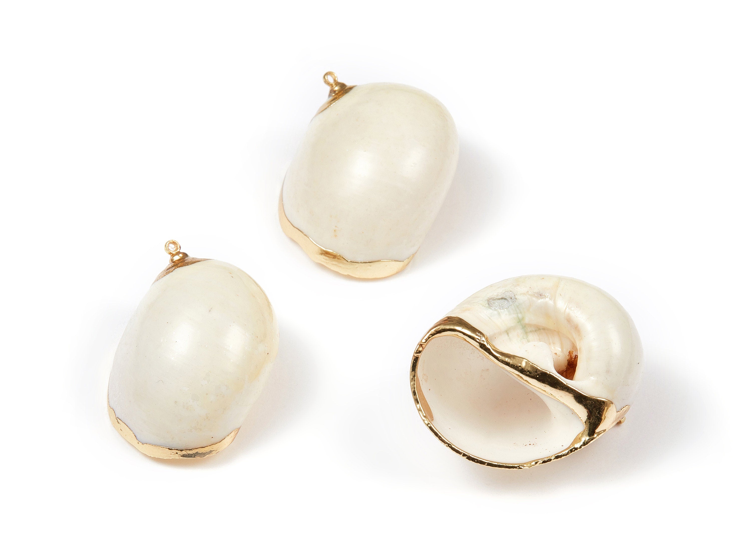 Whelk Seashell Charms - Seashell Earrings and Pendant - Gold Tone Plated Earrings - Natural Seashell - 1 Hole - 37.64x34.69xmm - SF1078 - DOMEDBAZAAR