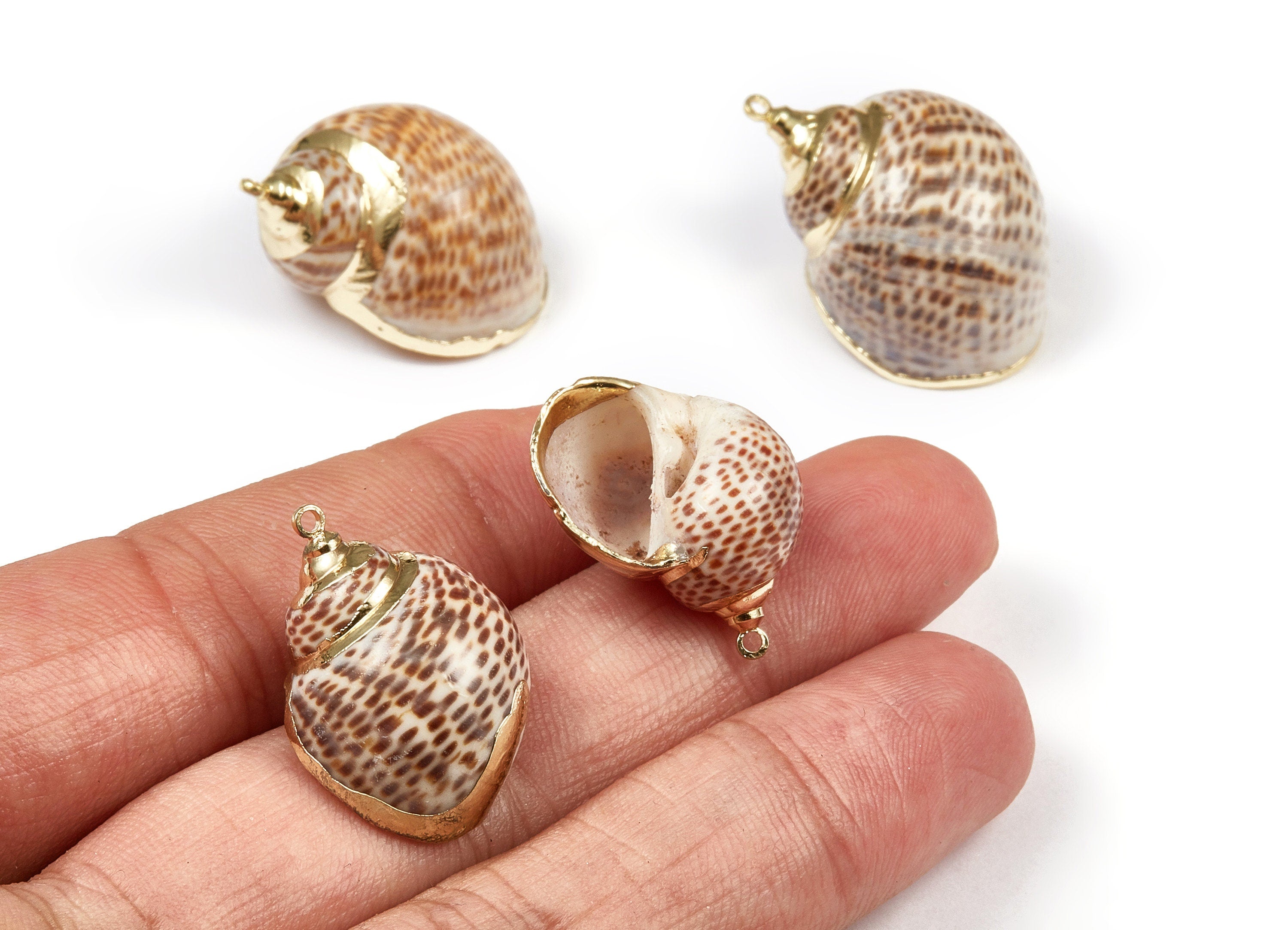 Whelk Seashell Charms - Seashell Pendant - Gold Tone Plated Earrings - Natural Seashell - 1 Hole - 28.32x24.77xmm - SF1075 - DOMEDBAZAAR