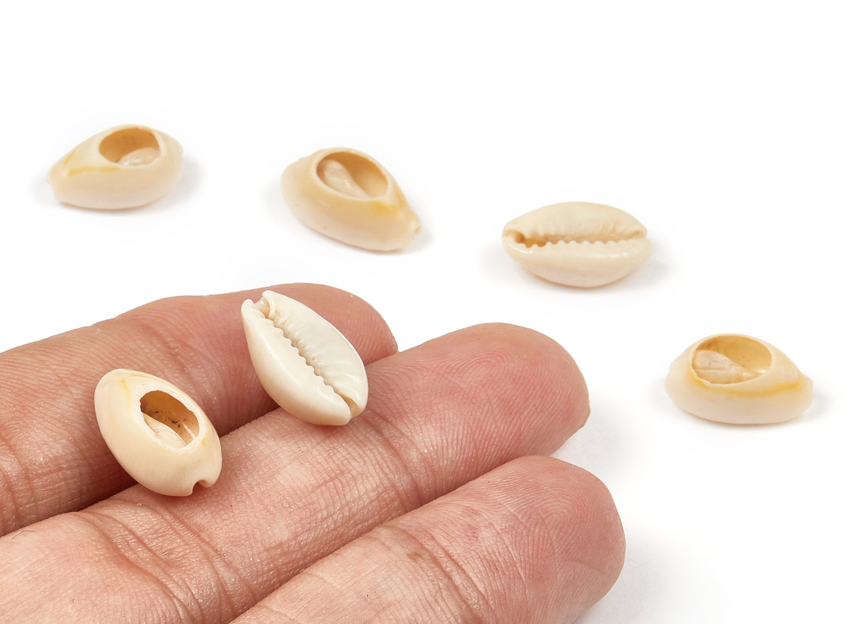 Open Cowrie Charms - Mussel Shell Earrings - Cut Open Seashell Pendant - Natural Seashell Earrings - 13.26x9.06x4.48mm - SF1047 - DOMEDBAZAAR