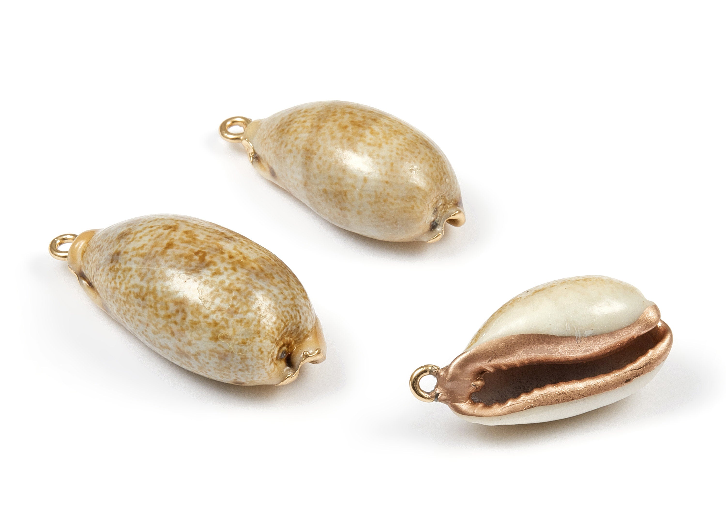 Cowrie Seashell Charms - Mussel Shell Earrings and Pendant - Gold Tone Plated Earrings - 1 Hole - 31.55x15.91x10.59mm - SF1032 - DOMEDBAZAAR