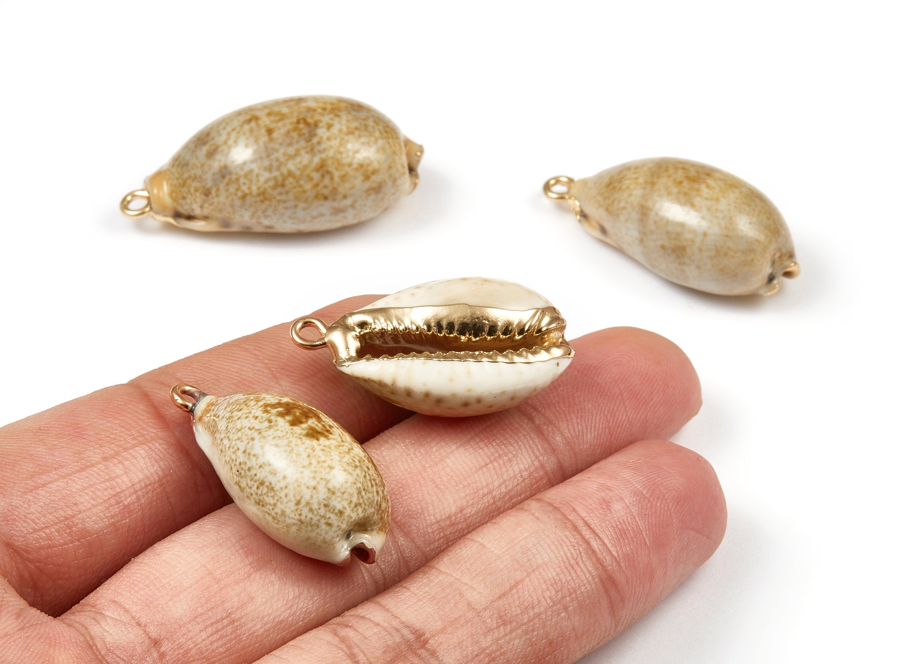 Cowrie Seashell Charms - Mussel Shell Earrings and Pendant - Gold Tone Plated Earrings - 1 Hole - 31.55x15.91x10.59mm - SF1032 - DOMEDBAZAAR