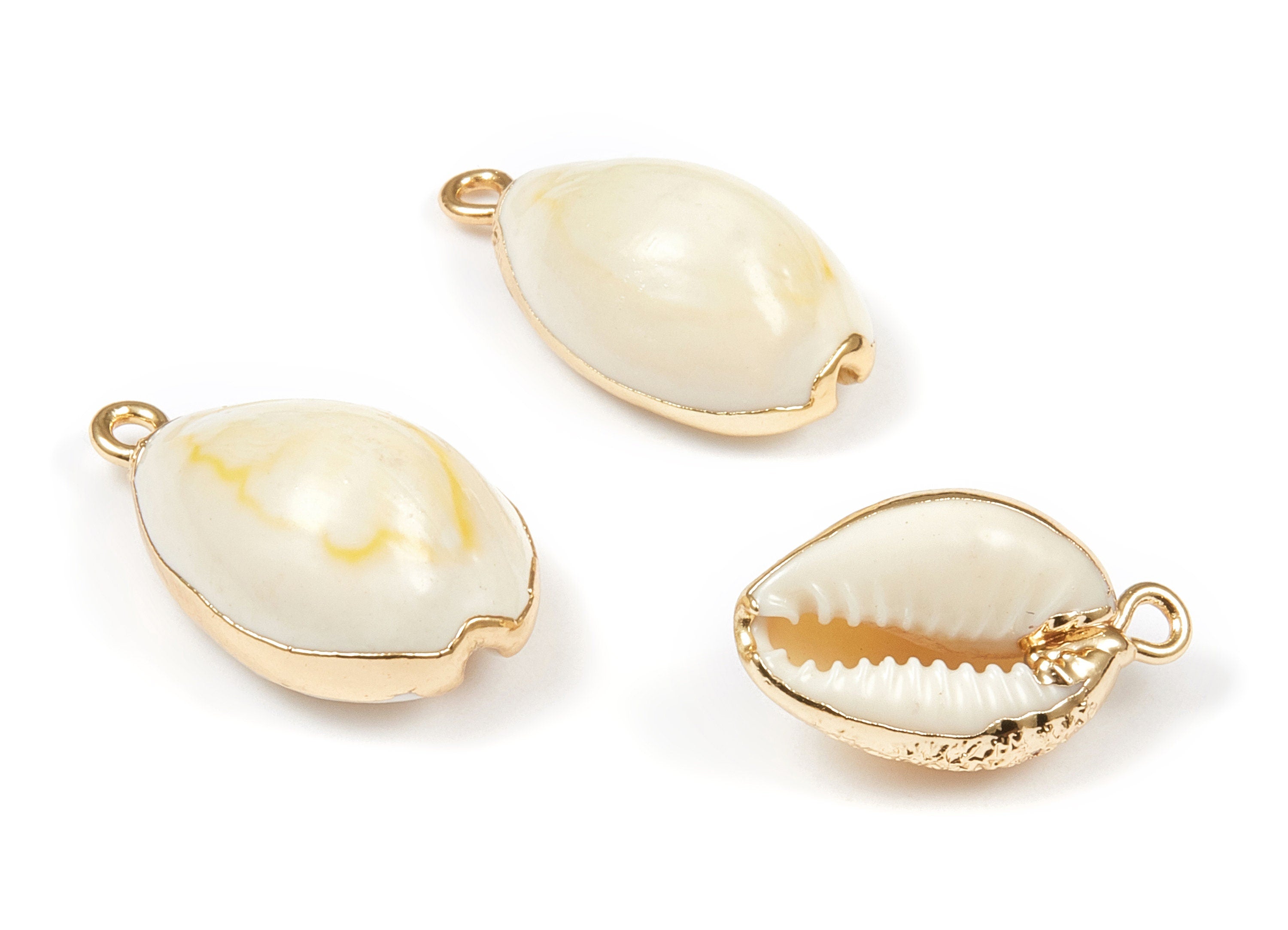 Cowrie Seashell Charms - Mussel Shell Earrings and Pendant - Gold Tone Plated Earrings - 1 Hole - 23.58x13.15x8.87mm - SF1038 - DOMEDBAZAAR