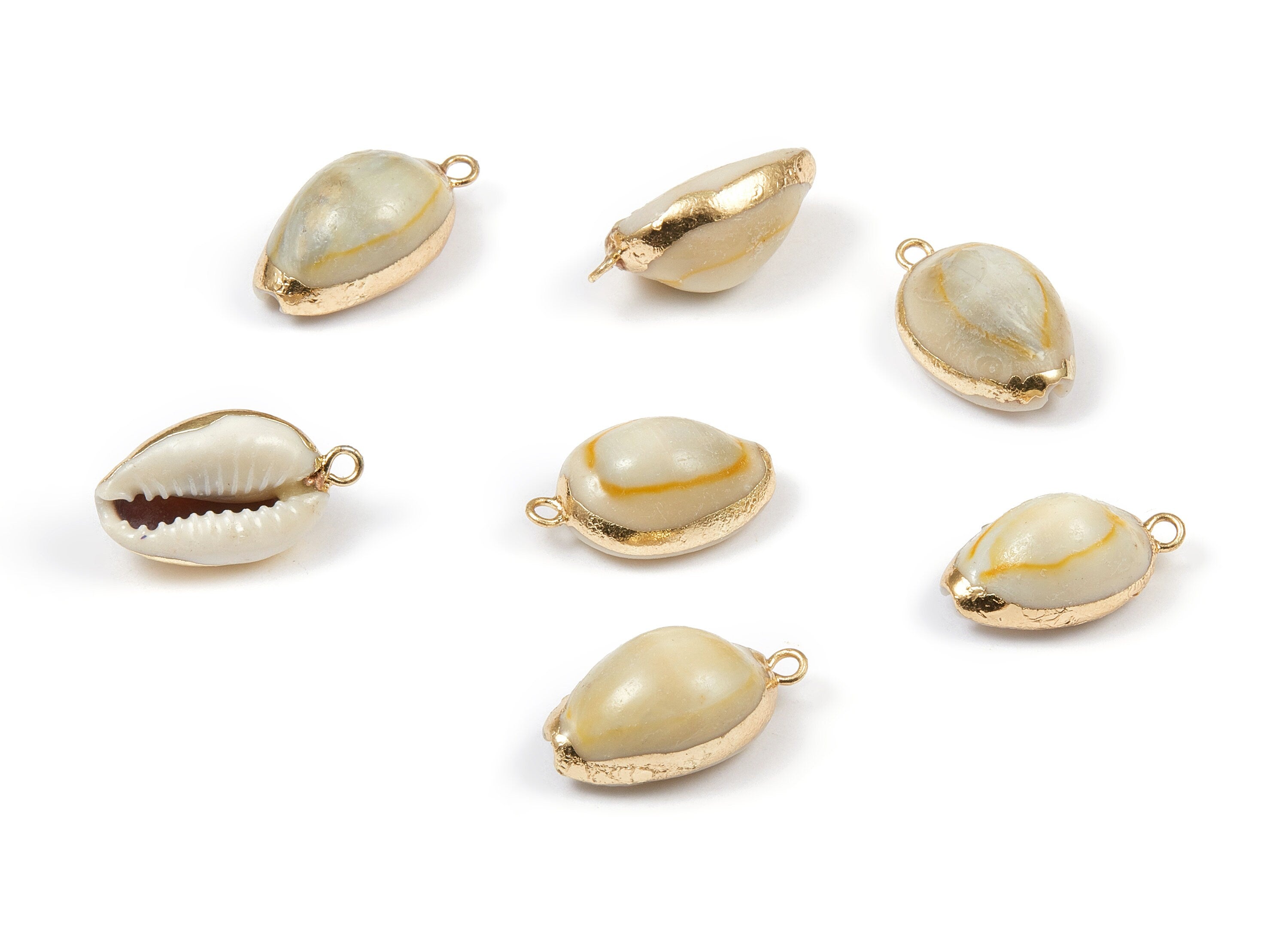 Cowrie Seashell Charms - Mussel Shell Earrings and Pendant - Gold Tone Plated Earrings - 1 Hole - 22.04x11.75x9.16mm - SF1039 - DOMEDBAZAAR