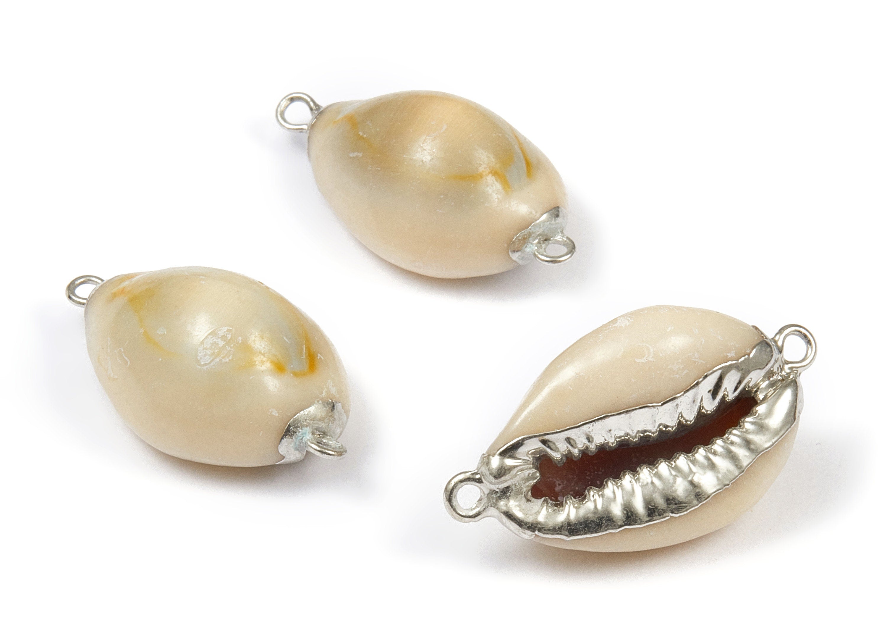 Cowrie Seashell Connector - Mussel Shell Earrings and Pendant - Silver Tone Plated Earrings - 2 Hole - 29.16x15.89x11.34mm - SF1057 - DOMEDBAZAAR