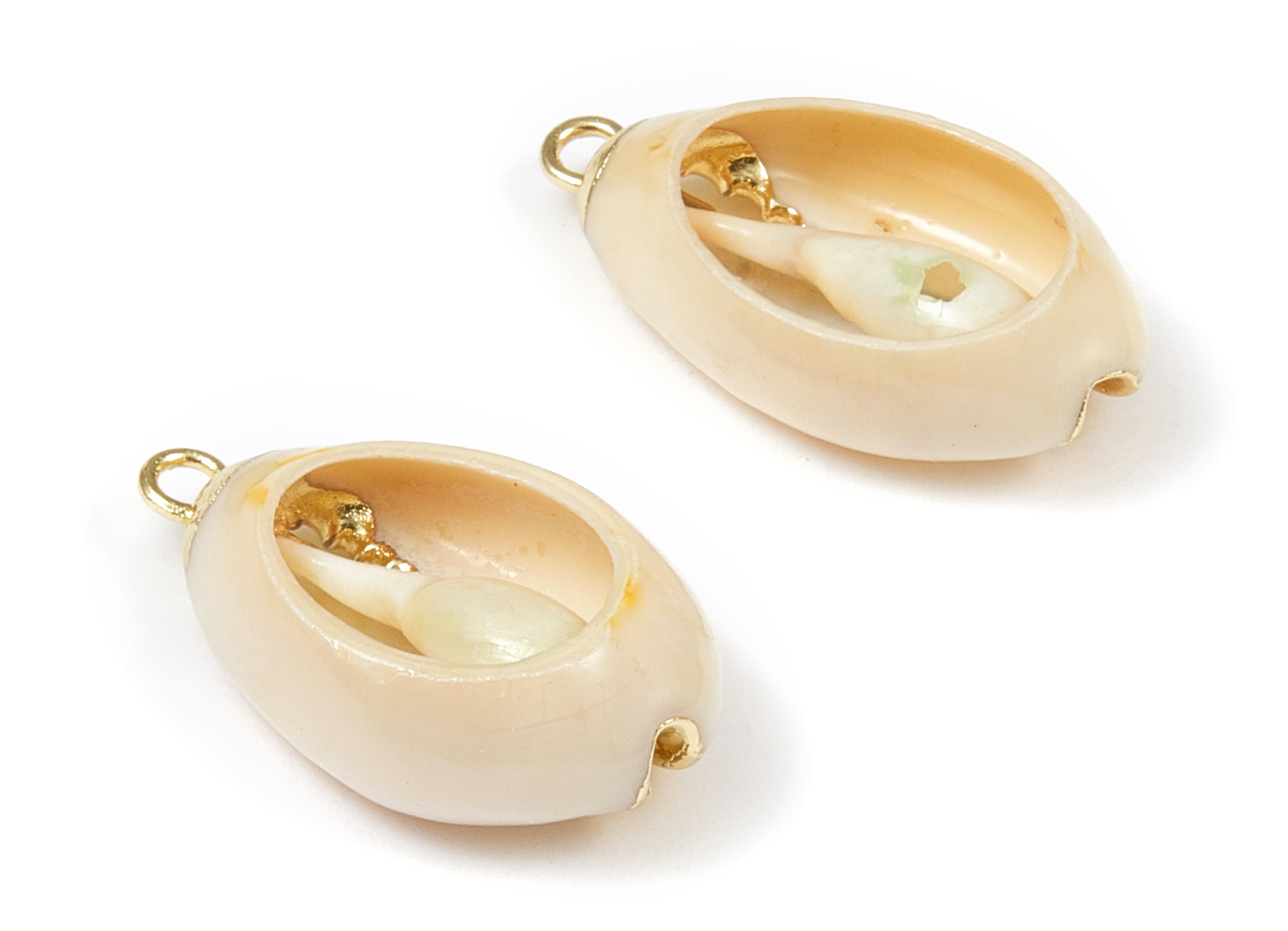 Open Cowrie Charms - Cut Open Cowrie Seashell Earrings and Pendant - Natural Seashell Earrings - 1 Holes - 23.74x13.34x6.55mm - SF1054 - DOMEDBAZAAR