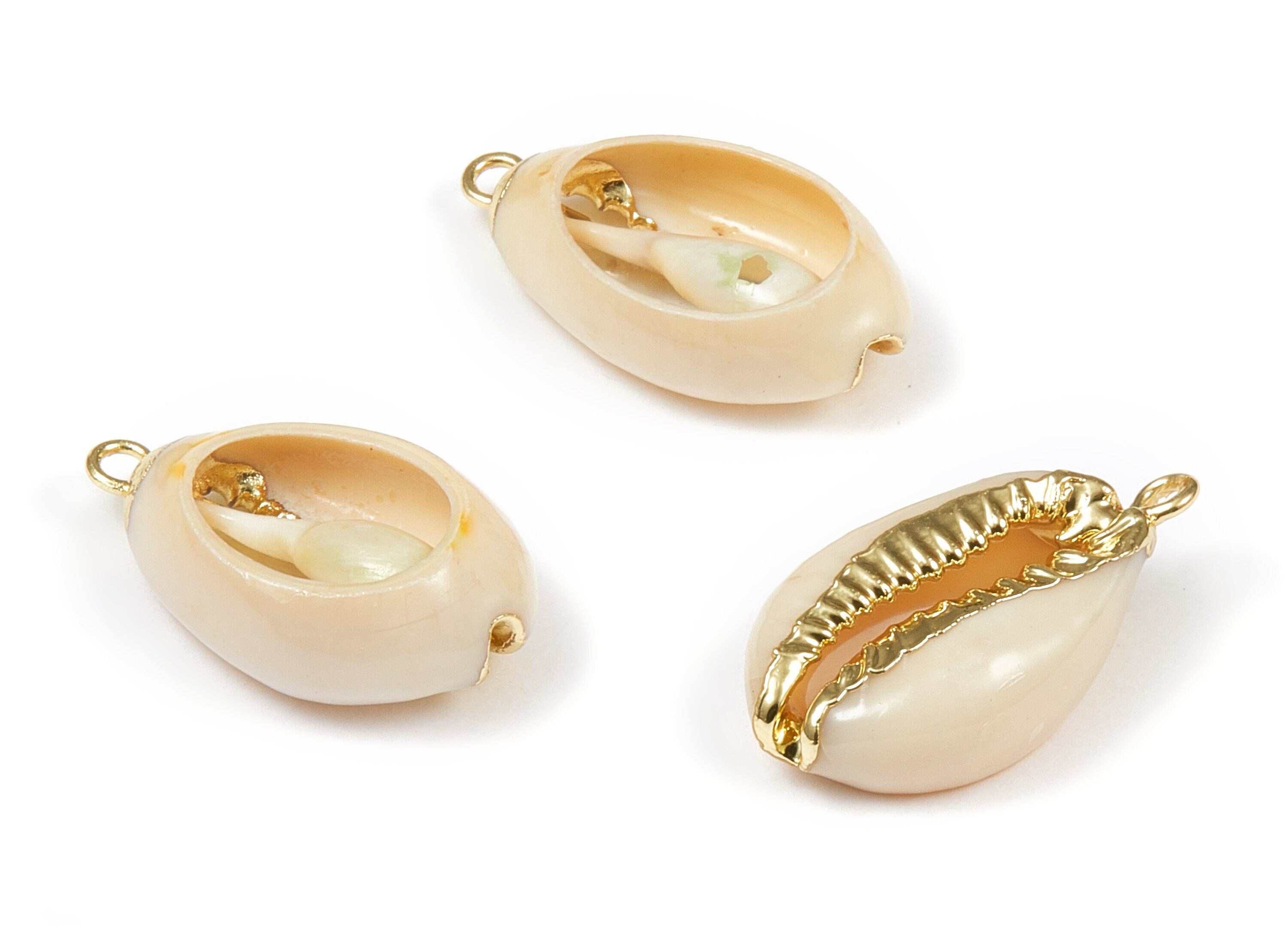Open Cowrie Charms - Cut Open Cowrie Seashell Earrings and Pendant - Natural Seashell Earrings - 1 Holes - 23.74x13.34x6.55mm - SF1054 - DOMEDBAZAAR