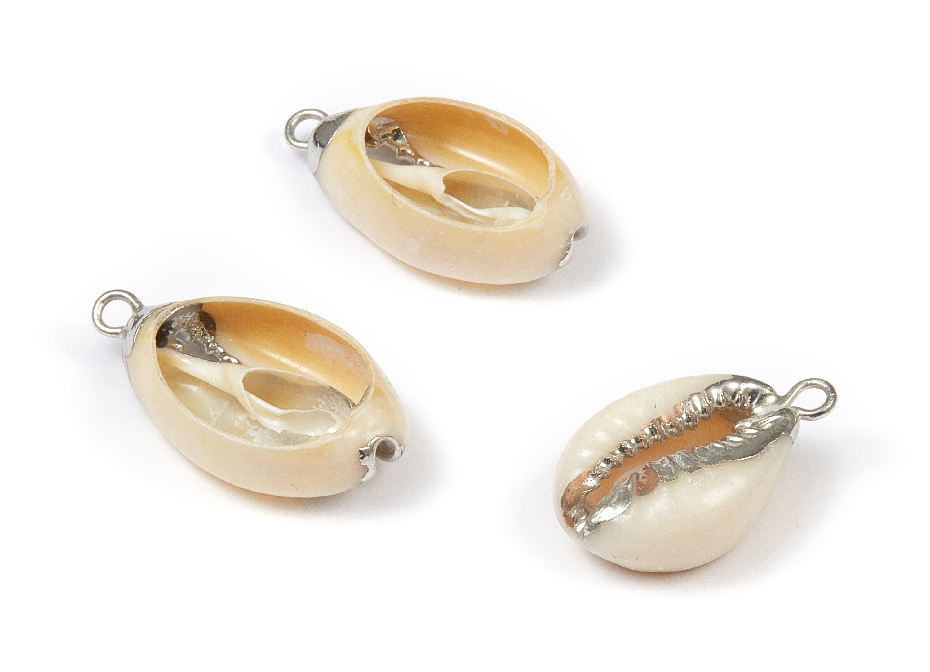 Open Cowrie Charms - Cut Open Cowrie Seashell Earrings and Pendant - Natural Seashell Earrings - 1 Holes - 23.74x13.34x6.55mm - SF1055 - DOMEDBAZAAR