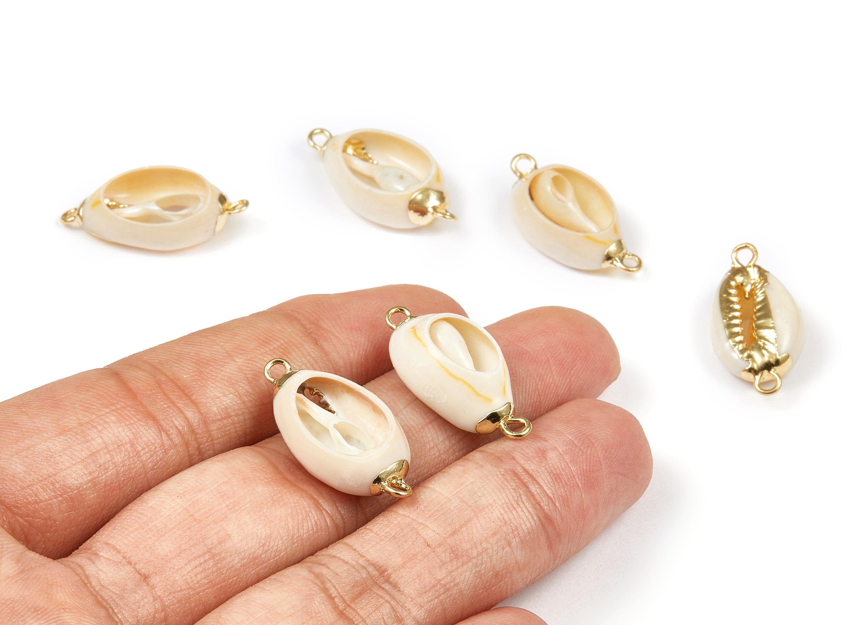 Open Cowrie Connector - Cut Open Mussel Seashell Earrings and Pendant - Natural Seashell Earrings - 2 Holes - 25.58x12.71x4.02mm - SF1058 - DOMEDBAZAAR