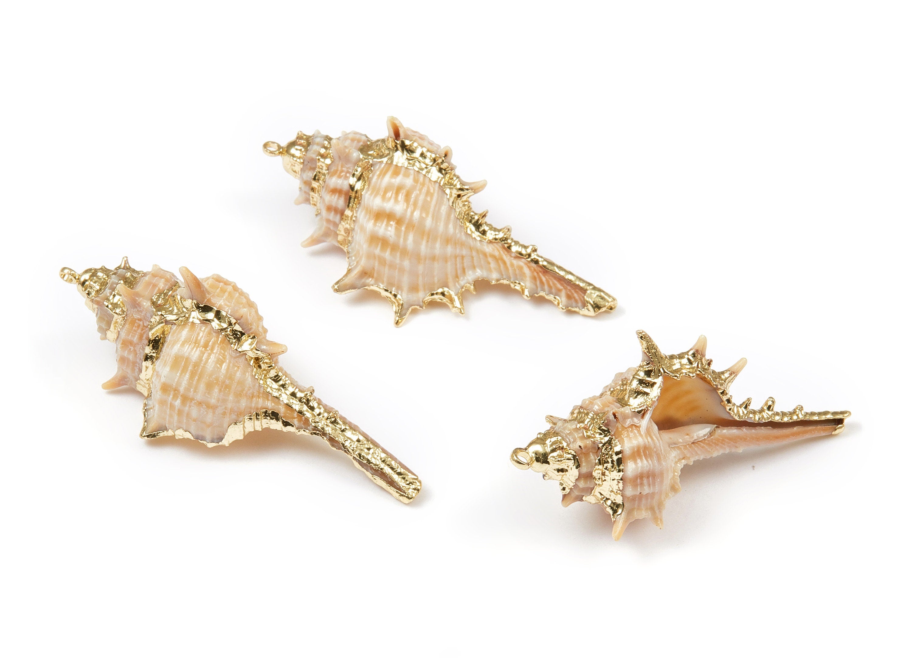 Cone Shell Charms - Whelk Seashell Pendant - Gold Tone Plated Earrings - Natural Seashell - 1 Hole - 55.18x21.89 - SF1090 - DOMEDBAZAAR
