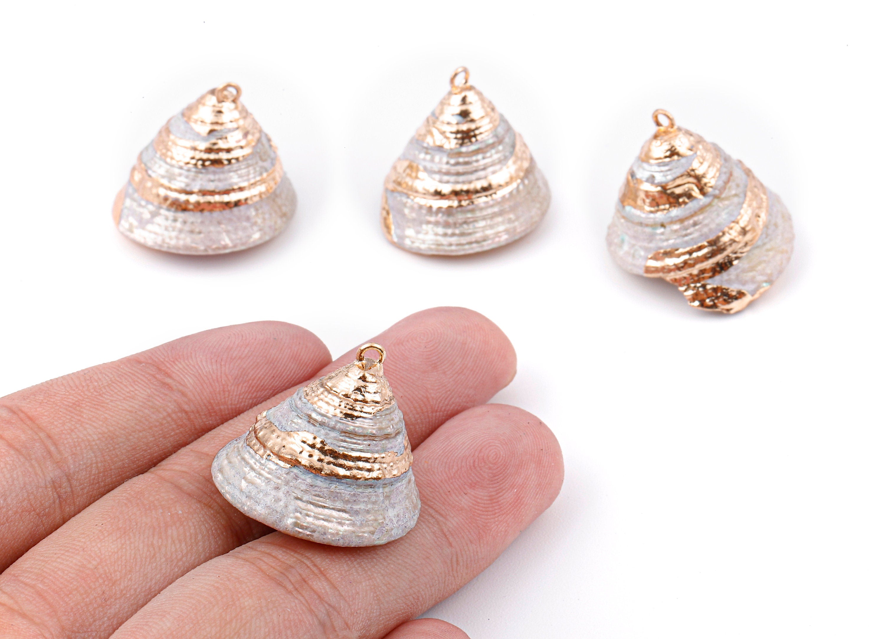 Cone Seashell Charms - Whelk Seashell Pendant - Natural Seashell Earrings - 1 Hole - 25.43x23.33mm - SF1128G - DOMEDBAZAAR