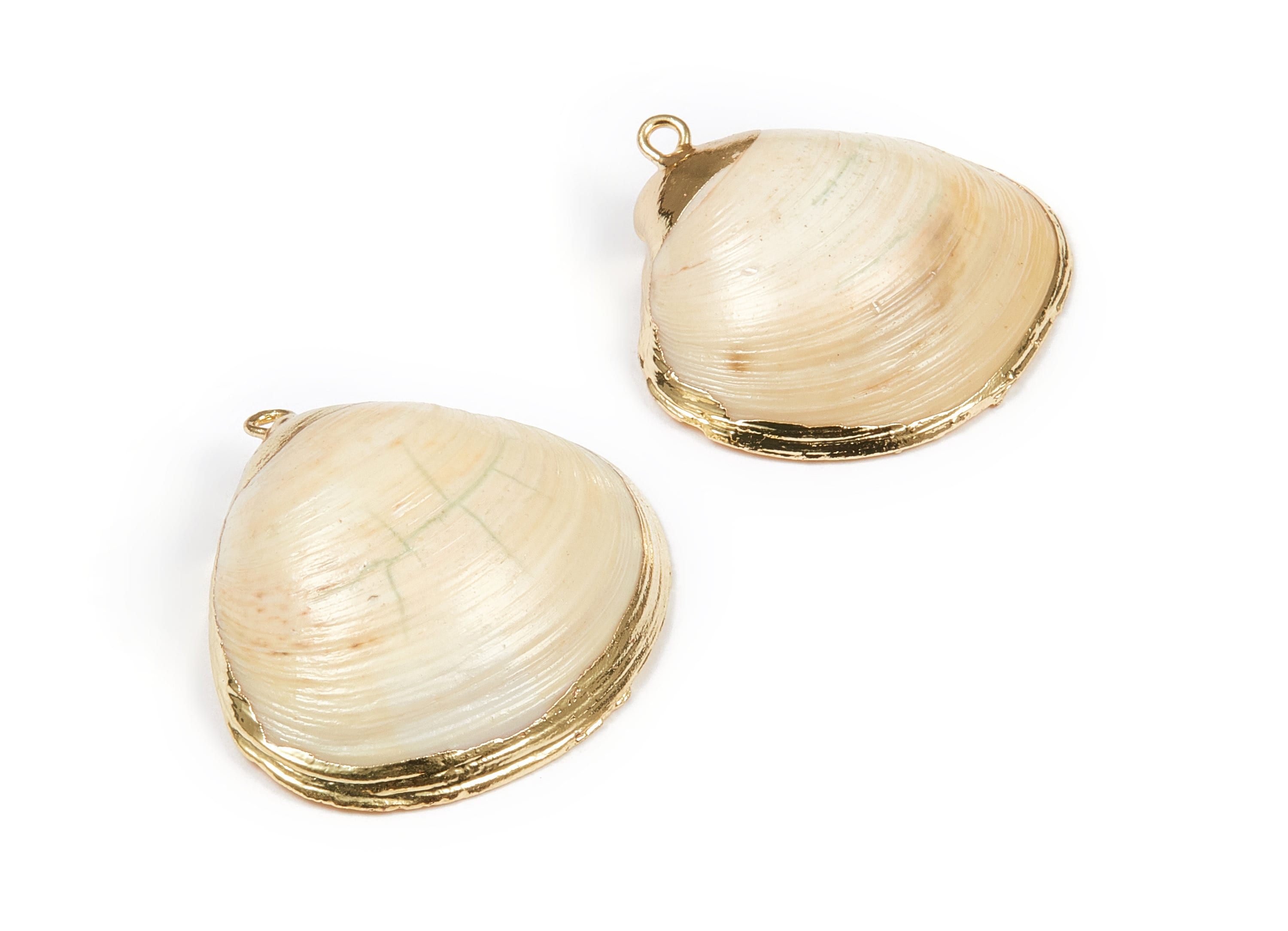 Mussel Shell Charms - Seashell Earrings and Pendant - Gold Tone Plated Earrings - 1 Hole - 33.96x31.88x1.53mm - SF1084 - DOMEDBAZAAR