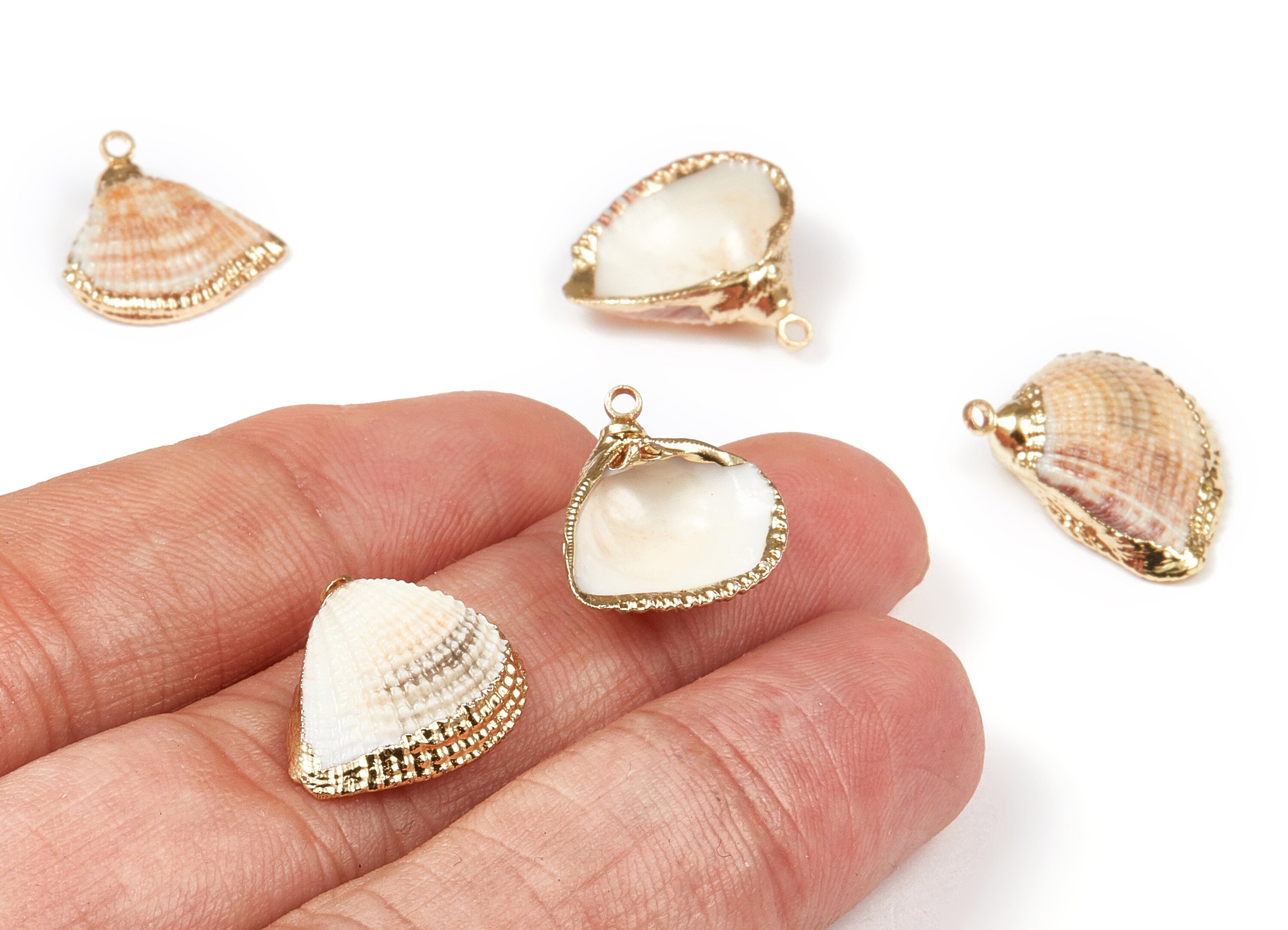 Mussel Shell Charms - Seashell Earrings and Pendant - Gold Tone Plated Earrings - 1 Hole - 17.87x18.04x1.27mm - SF1079 - DOMEDBAZAAR