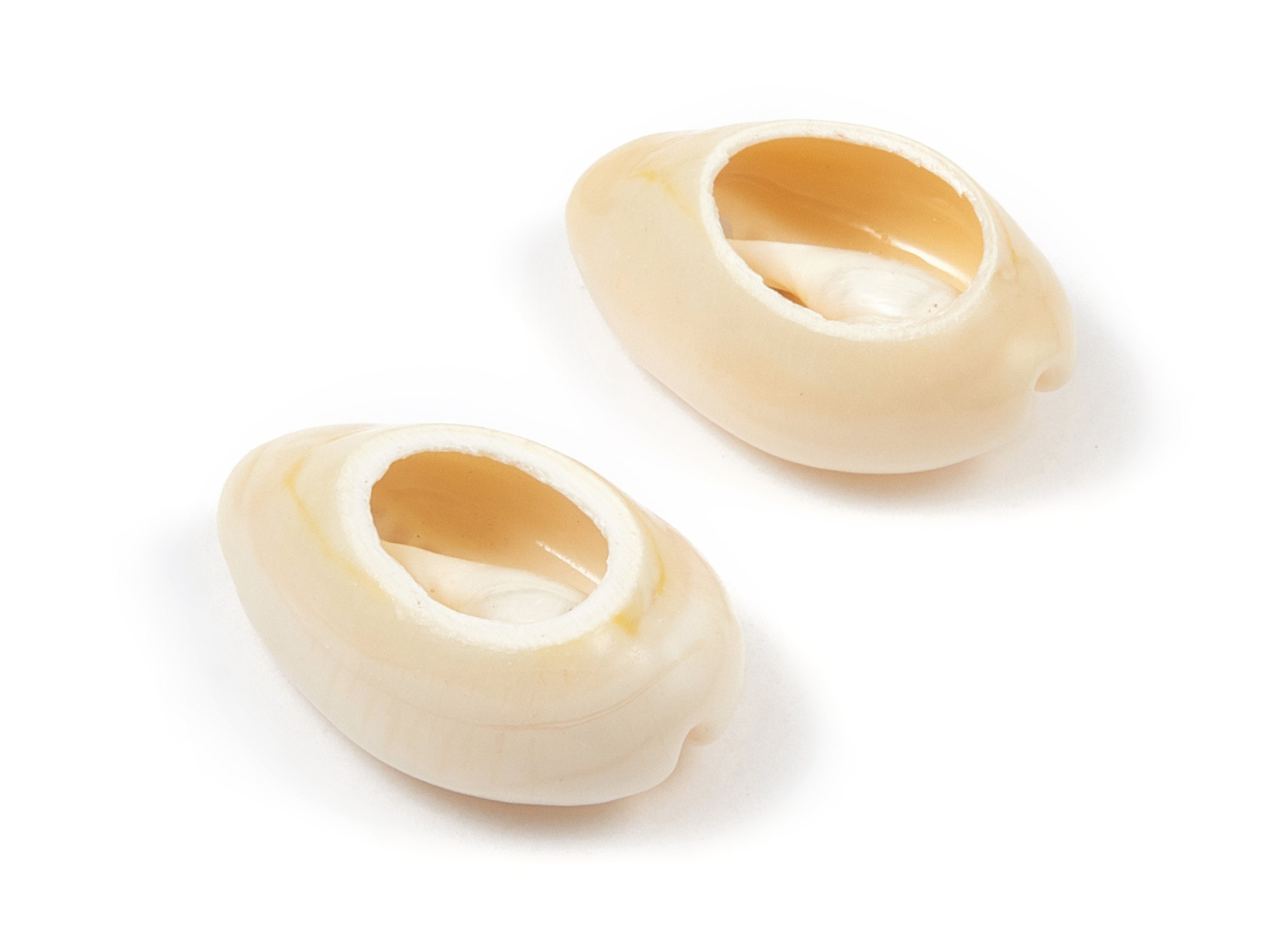 Open Cowrie Charms - Mussel Shell Earrings - Cut Open Seashell Pendant - Natural Seashell Earrings - 22.46x15.15x8.53mm - SF1051 - DOMEDBAZAAR