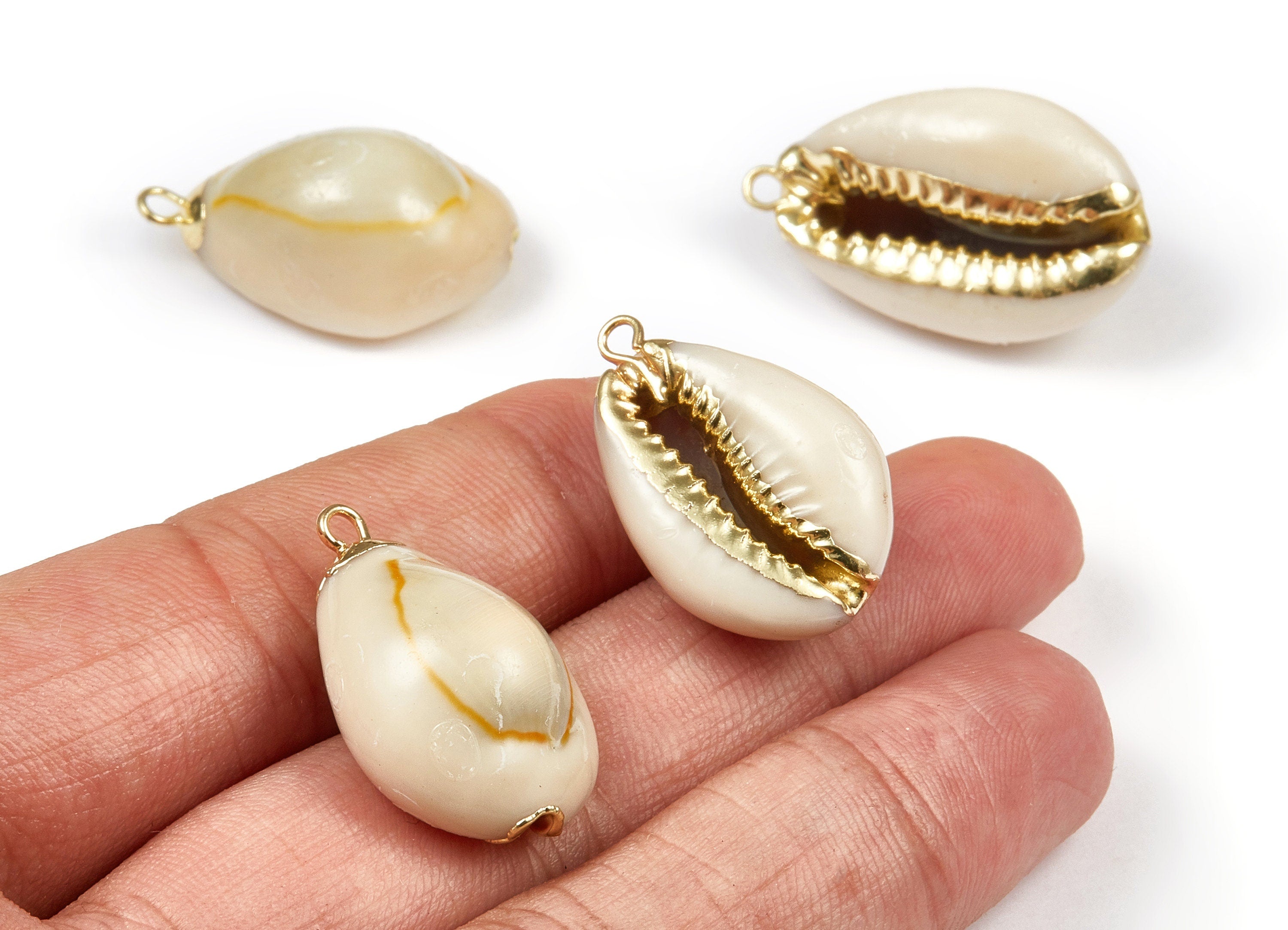 Cowrie Seashell Charms - Mussel Shell Earrings and Pendant - Gold Tone Plated Earrings - 1 Hole - 27.09x15.89x11.34mm - SF1056 - DOMEDBAZAAR