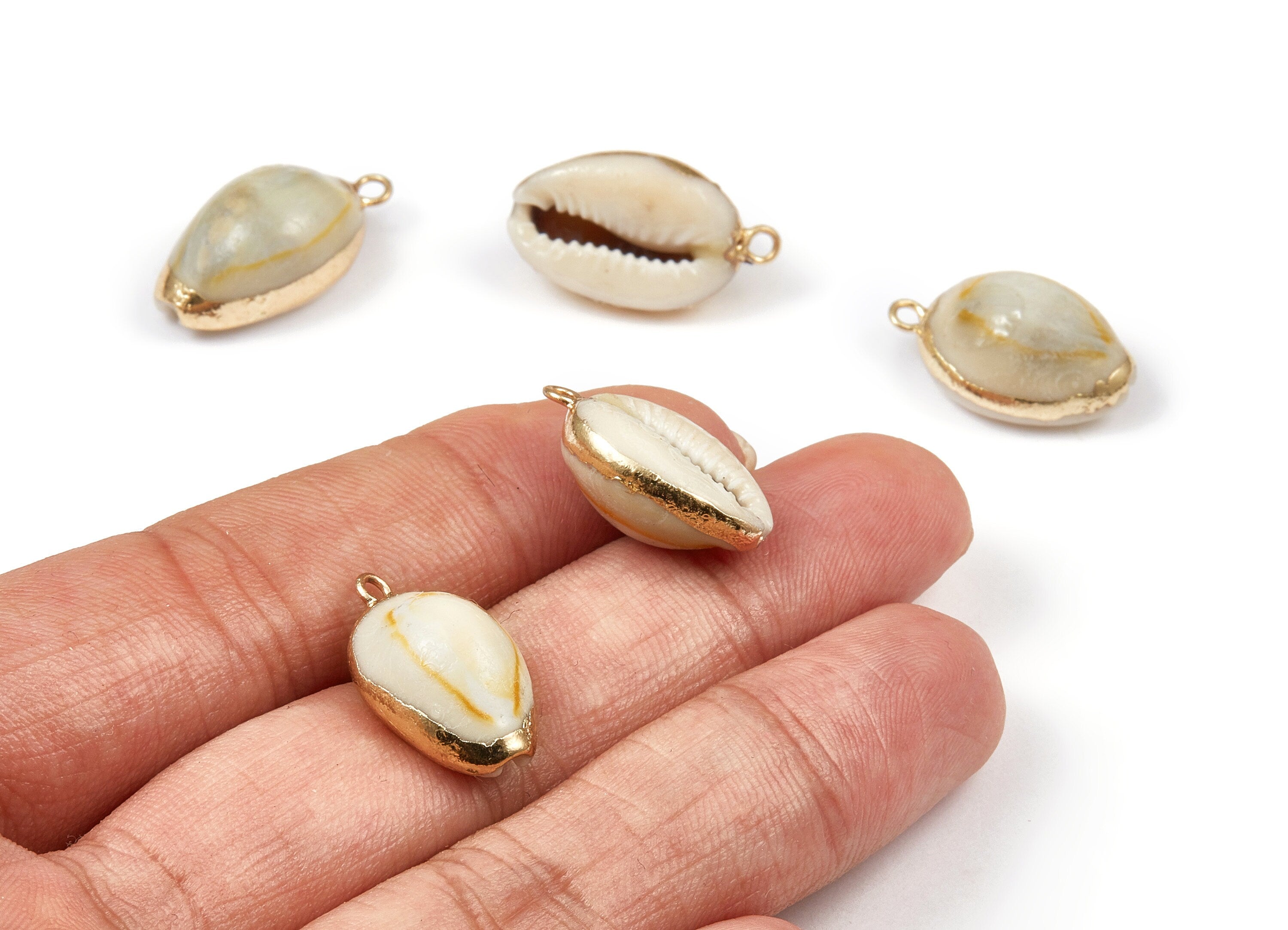 Cowrie Seashell Charms - Mussel Shell Earrings and Pendant - Gold Tone Plated Earrings - 1 Hole - 22.04x11.75x9.16mm - SF1039 - DOMEDBAZAAR