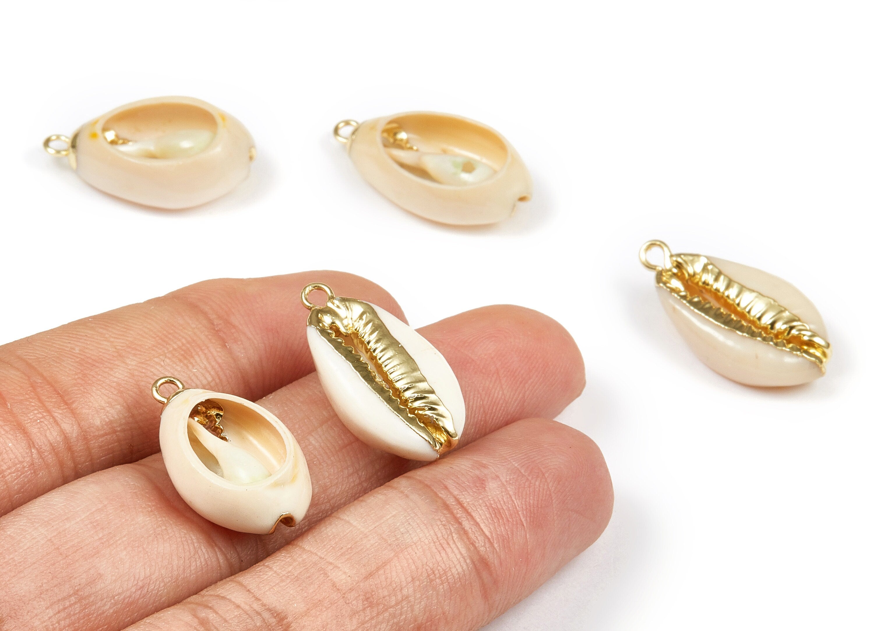 Open Cowrie Charms - Cut Open Cowrie Seashell Earrings and Pendant - Natural Seashell Earrings - 1 Holes - 23.74x13.34x6.55mm - SF1054 - DOMEDBAZAAR