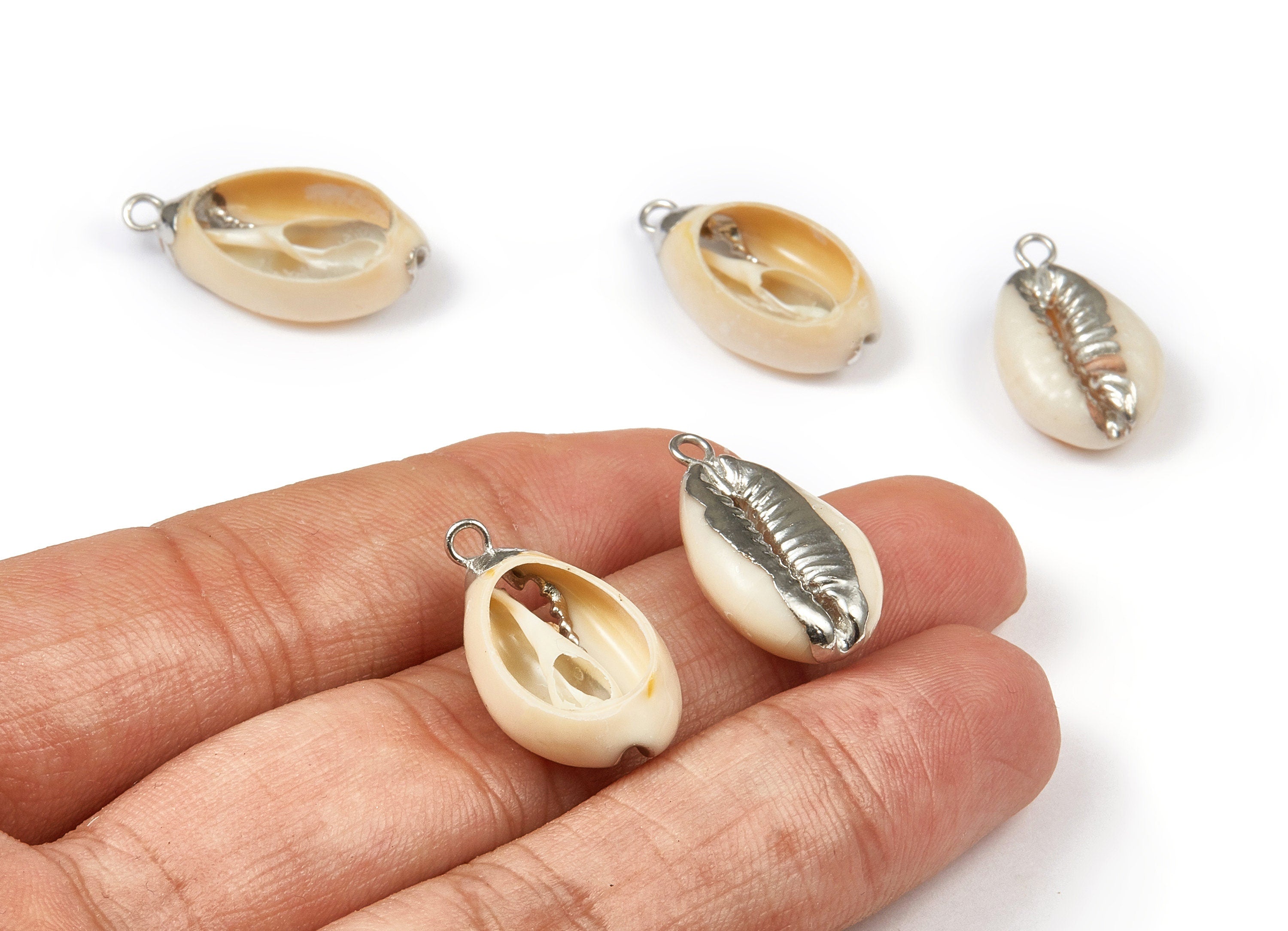 Open Cowrie Charms - Cut Open Cowrie Seashell Earrings and Pendant - Natural Seashell Earrings - 1 Holes - 23.74x13.34x6.55mm - SF1055 - DOMEDBAZAAR
