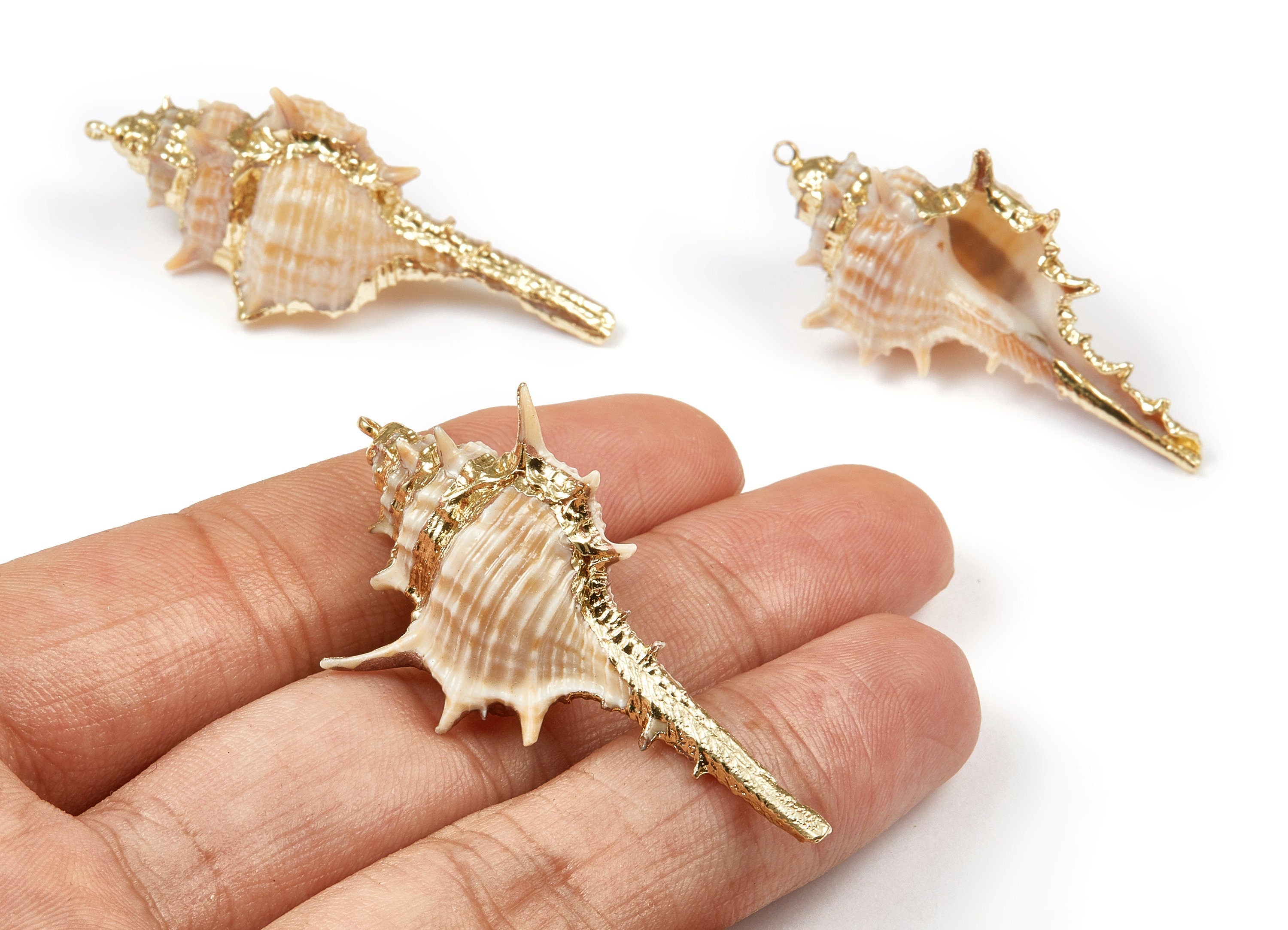 Cone Shell Charms - Whelk Seashell Pendant - Gold Tone Plated Earrings - Natural Seashell - 1 Hole - 55.18x21.89 - SF1090 - DOMEDBAZAAR