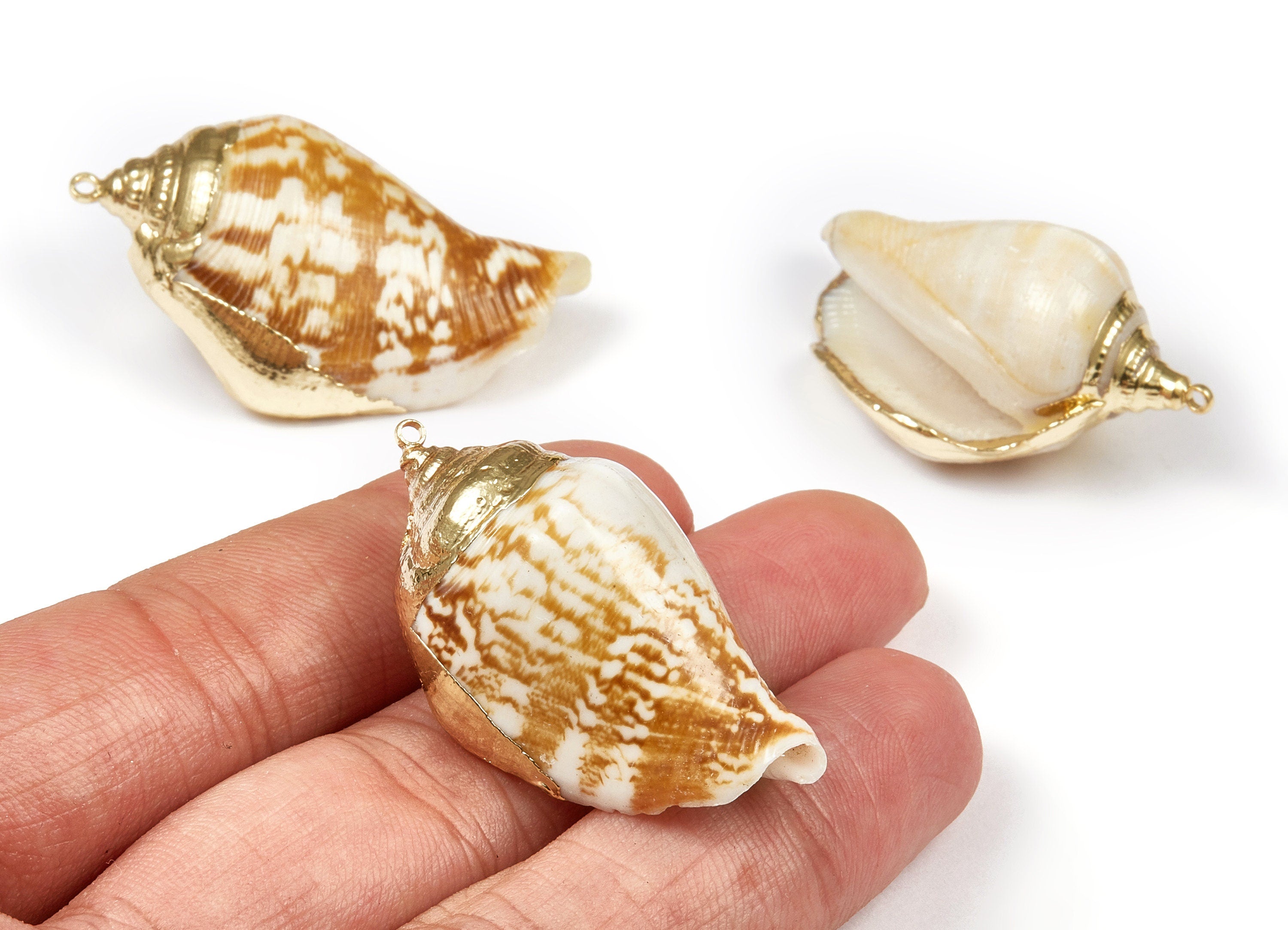 Whelk Seashell Charms - Seashell Earrings and Pendant - Gold Tone Plated Earrings - Natural Seashell - 1 Hole - 39.16x23xmm - SF1094 - DOMEDBAZAAR