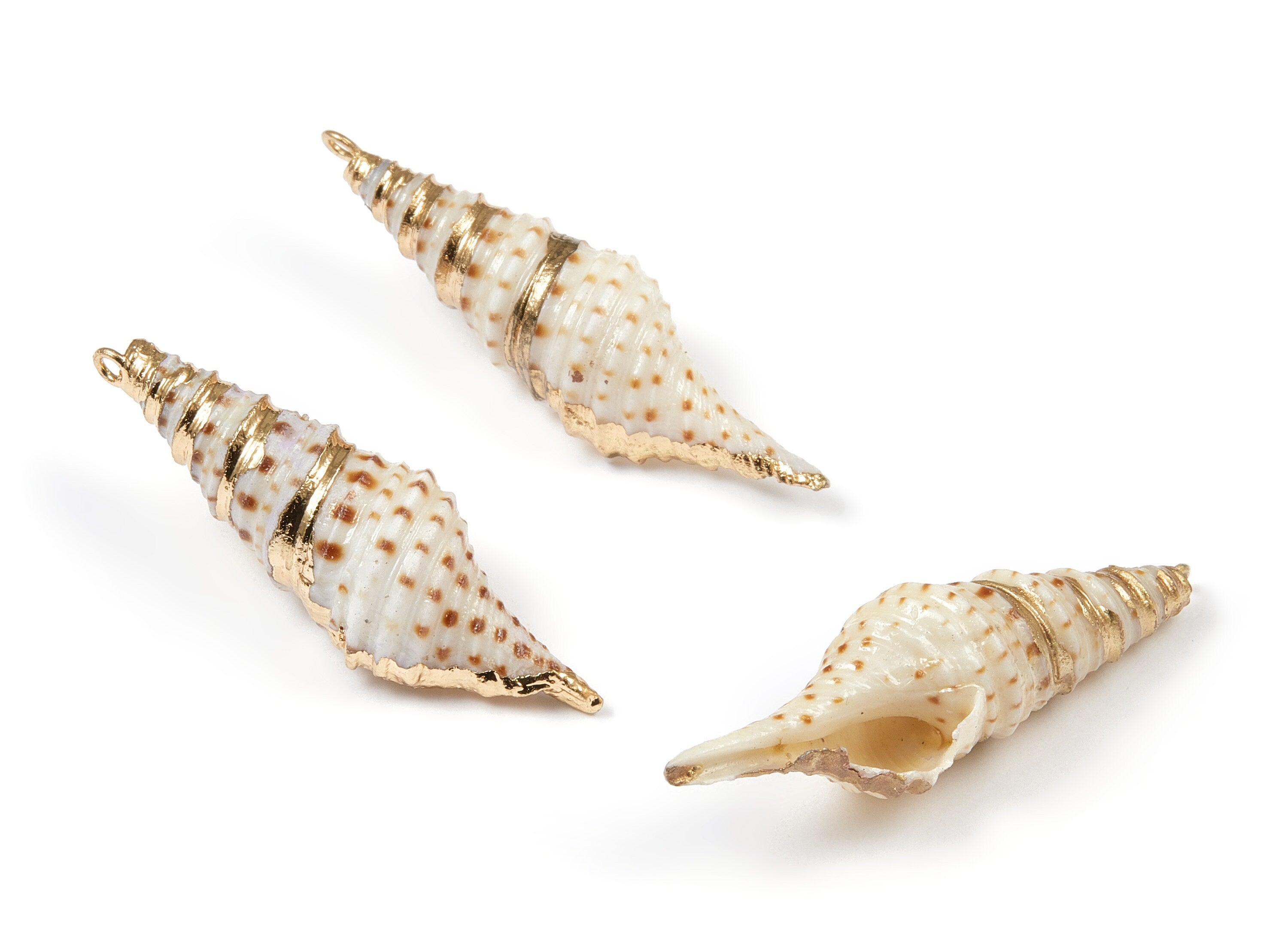 Turritella Terebra Shell Charms - Turritella Terebra Seashell Pendant - Natural Seashell Earrings - 1 Hole - 30x21.18x18.79mm - SF1024 - DOMEDBAZAAR