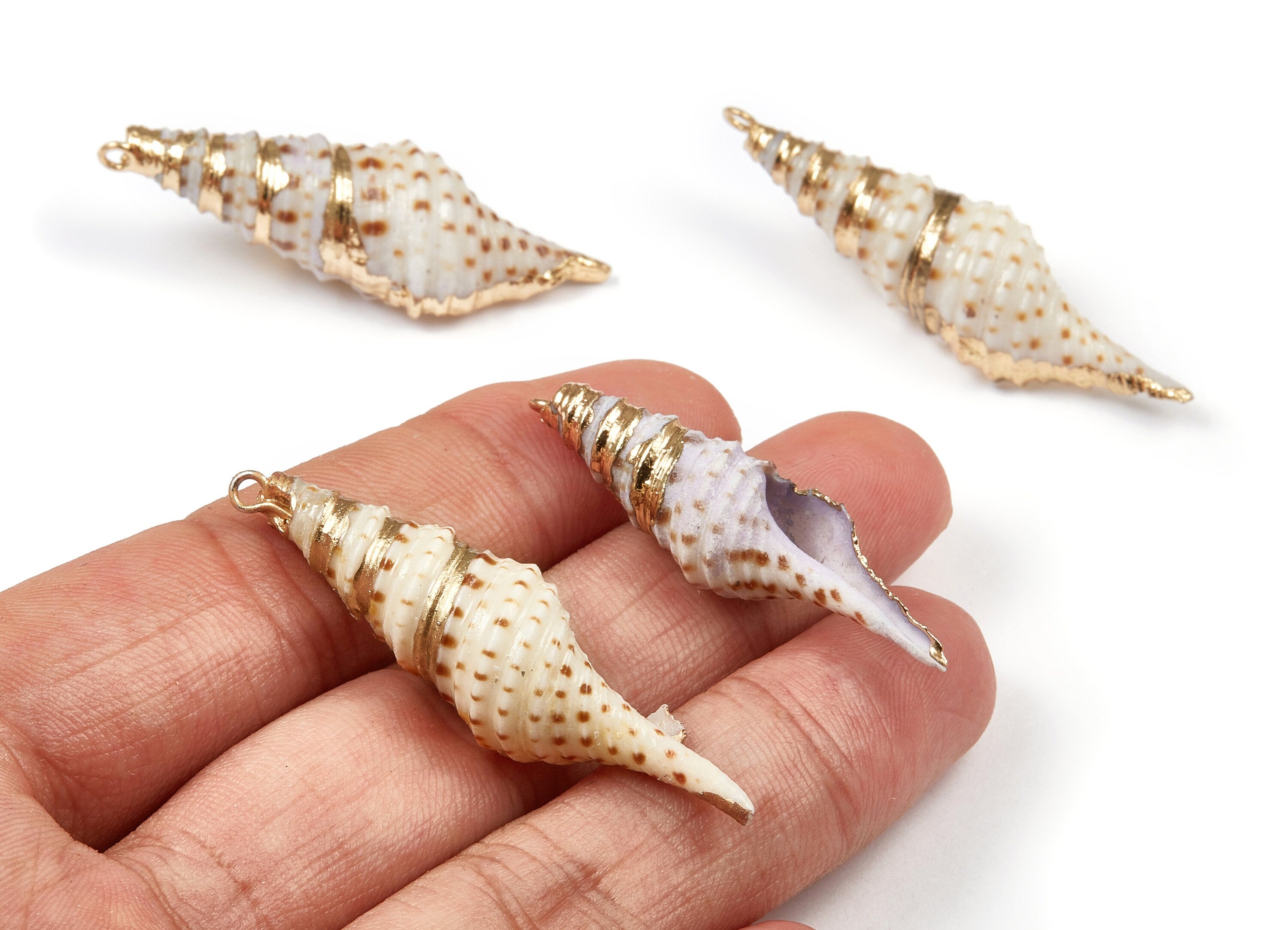 Turritella Terebra Shell Charms - Turritella Terebra Seashell Pendant - Natural Seashell Earrings - 1 Hole - 30x21.18x18.79mm - SF1024 - DOMEDBAZAAR
