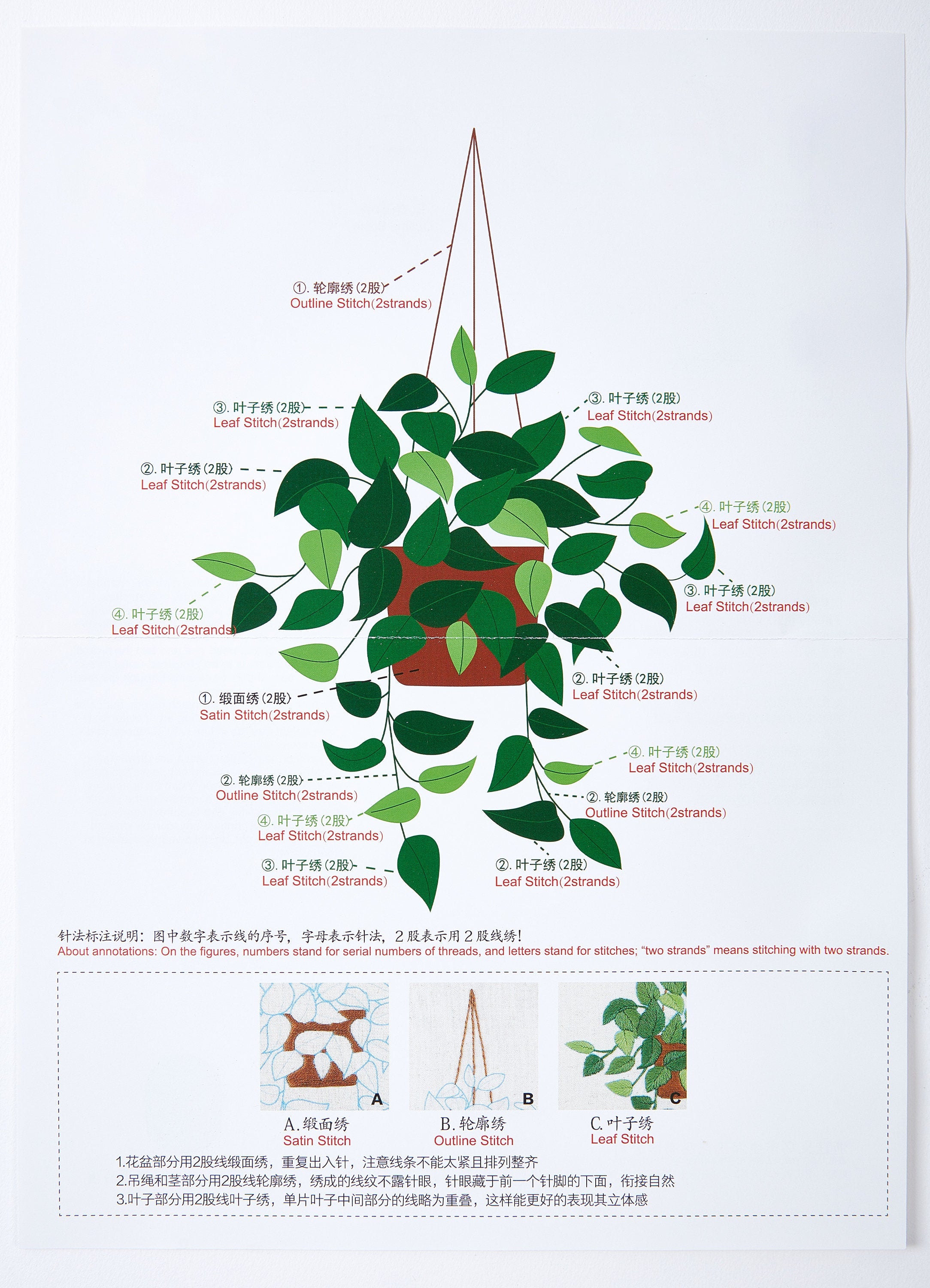 Plants Embroidery Kit - Hand Embroidery Kit - Embroidered Flowers - Modern Embroidery Kit - Embroidery Accessories - 170x113mm - HM511119 - DOMEDBAZAAR