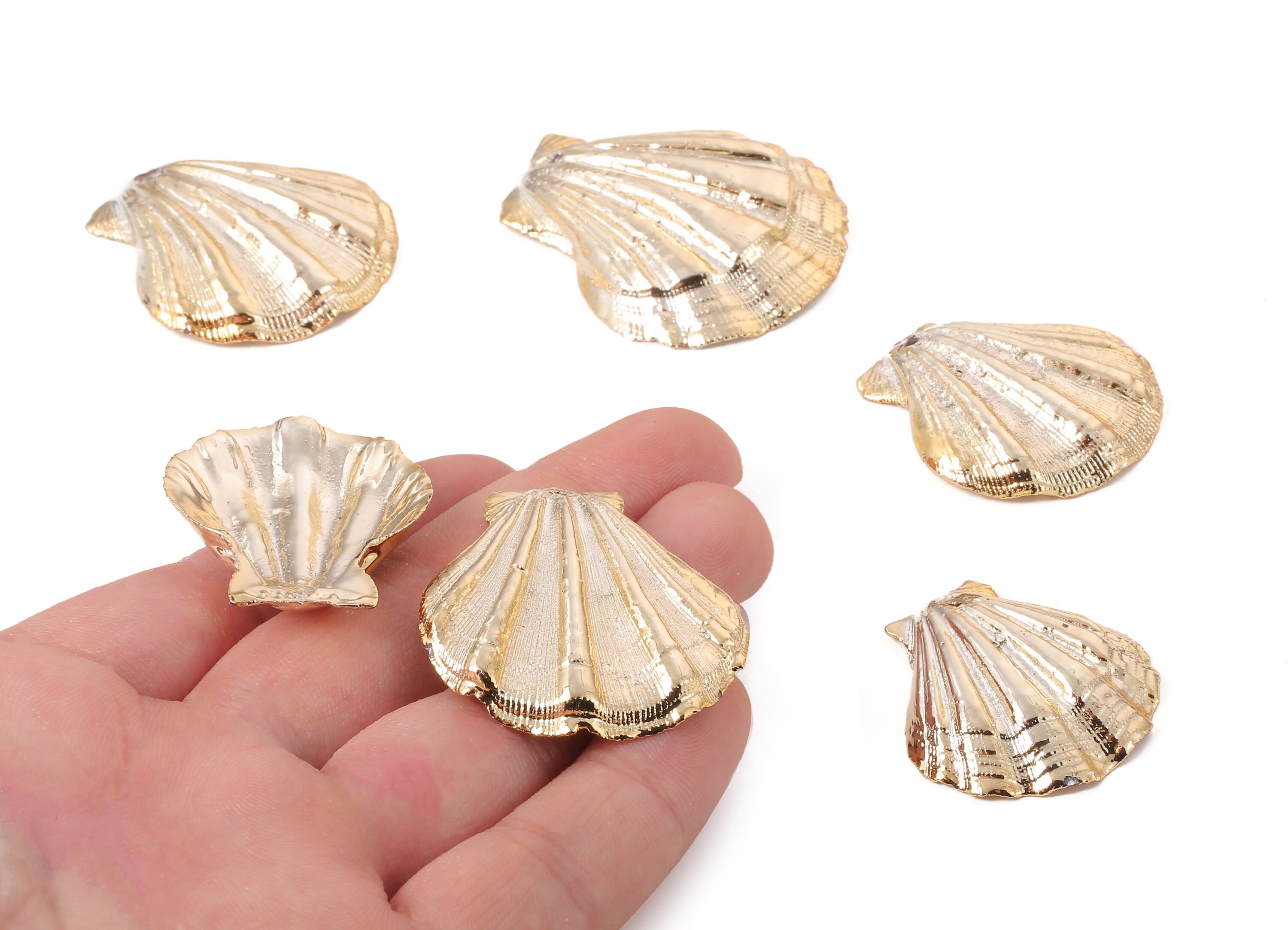 Mussel Shell Charms - Seashell Earrings and Pendant - Gold Tone Plated Earrings - 1 Hole - Jewelry Supplies - 42.74x40.54x1.88mm - SF1123 - DOMEDBAZAAR