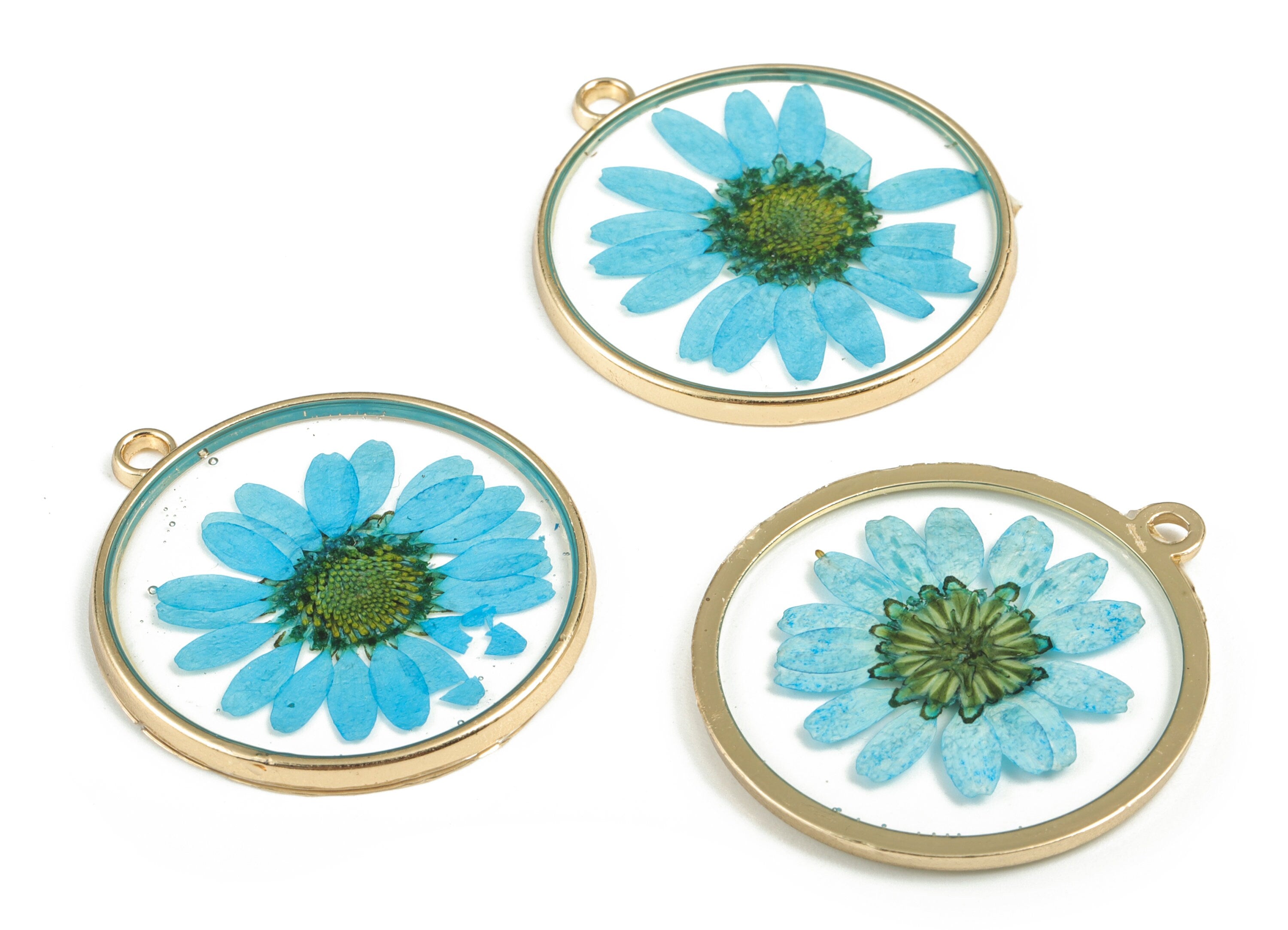 Resin Round Earring Charms - Resin Real Flower Pendant - Gold Tone Plated Alloy - Jewelry Making Supplies - 32.83x29.27x2.41mm - RC1143A - DOMEDBAZAAR