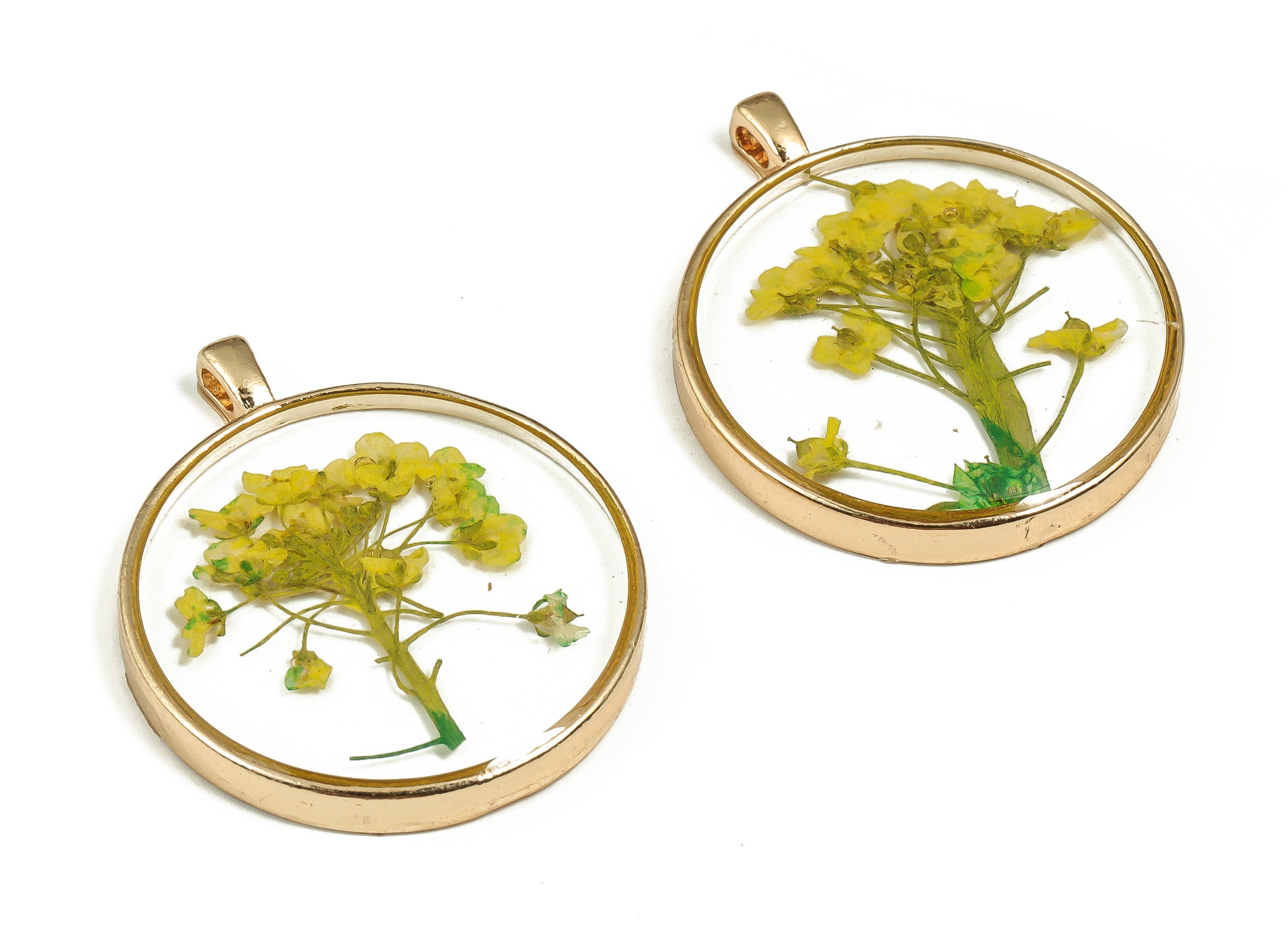 Epoxy Resin Round Real Flower Earring Charms - Epoxy Resin Sweet Alyssum Pendant - Gold Tone Plated Alloy - 34.89x28.99x4.58mm - ZZ1899 - DOMEDBAZAAR