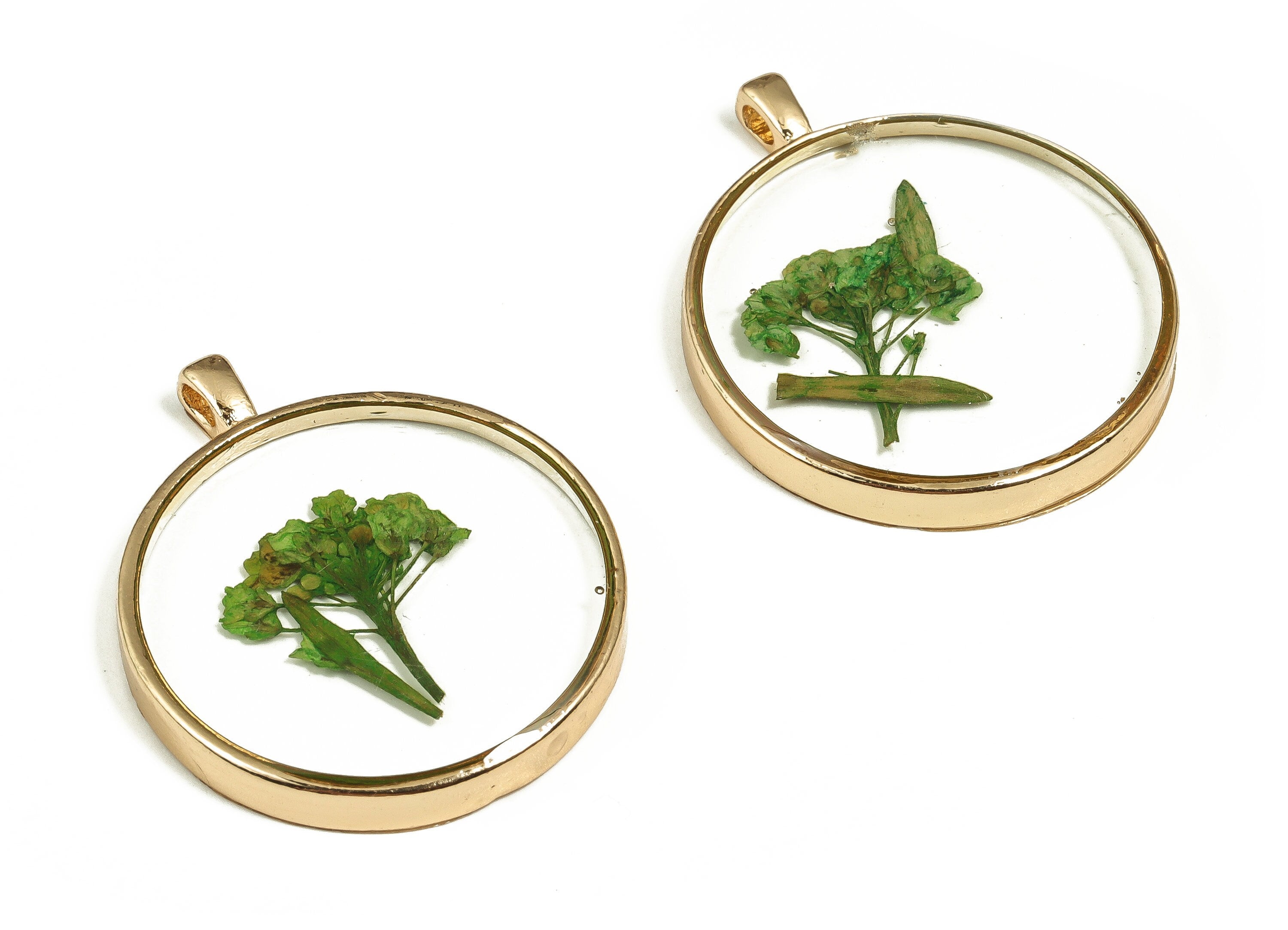 Epoxy Resin Round Real Flower Earring Charms - Epoxy Resin Sweet Alyssum Pendant - Gold Tone Plated Alloy - 34.98x29.1x3.95mm - ZZ1917 - DOMEDBAZAAR