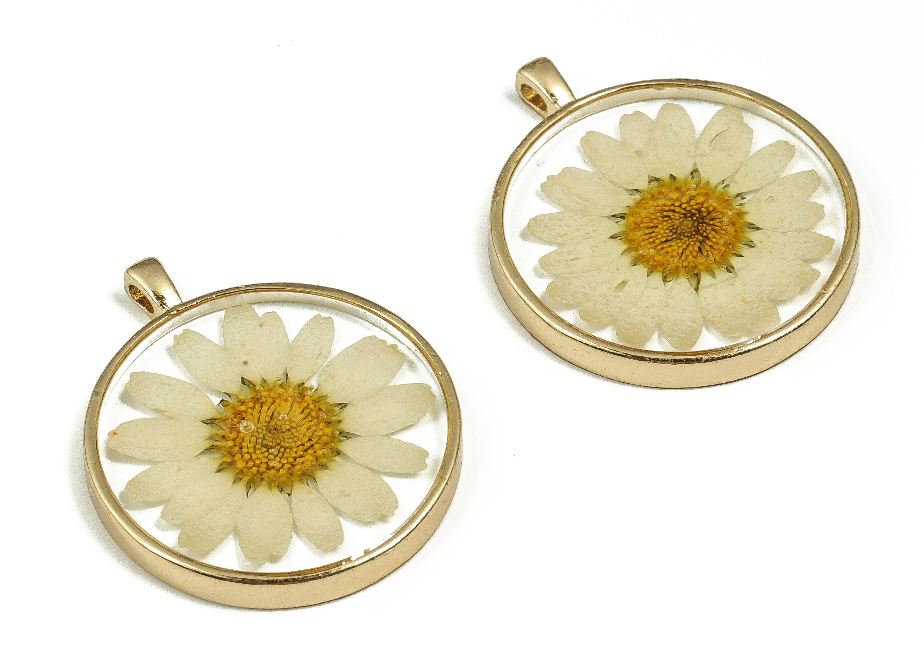 Epoxy Resin Round Real Flower Earring Charms - Epoxy Resin Crinkle Chrysanthemum Pendant - Gold Tone Plated Alloy - 34.9x28.9x4.8mm - ZZ1835 - DOMEDBAZAAR