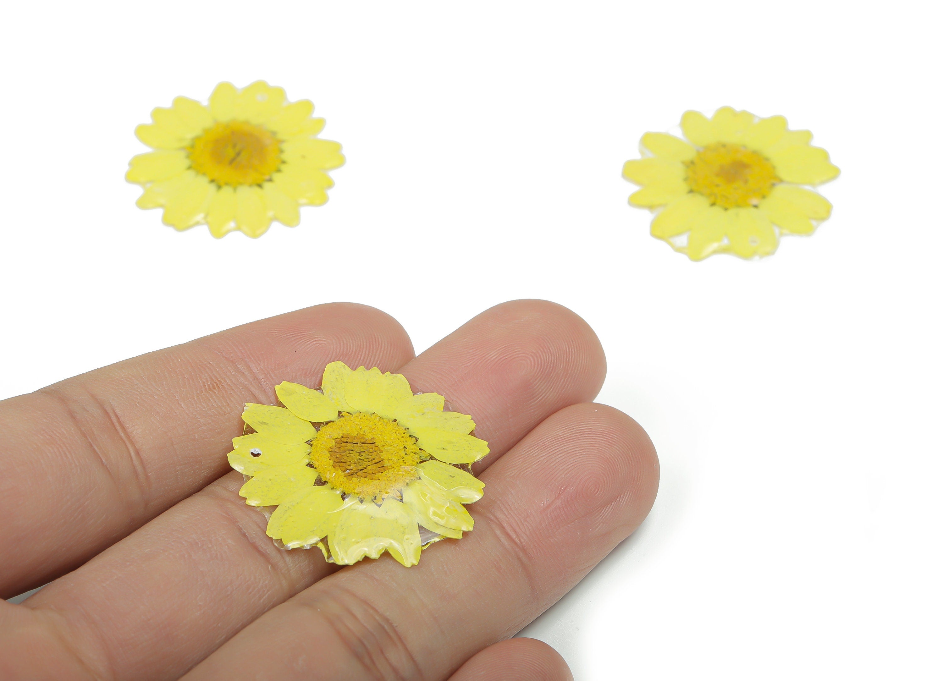 Dried Real Flower Earring Charms -Real Flower Pendant - Dried Real Chamomile Pendant -Dried Flower Pendant –34.49x29.16x29.16mm - RC1197 - DOMEDBAZAAR
