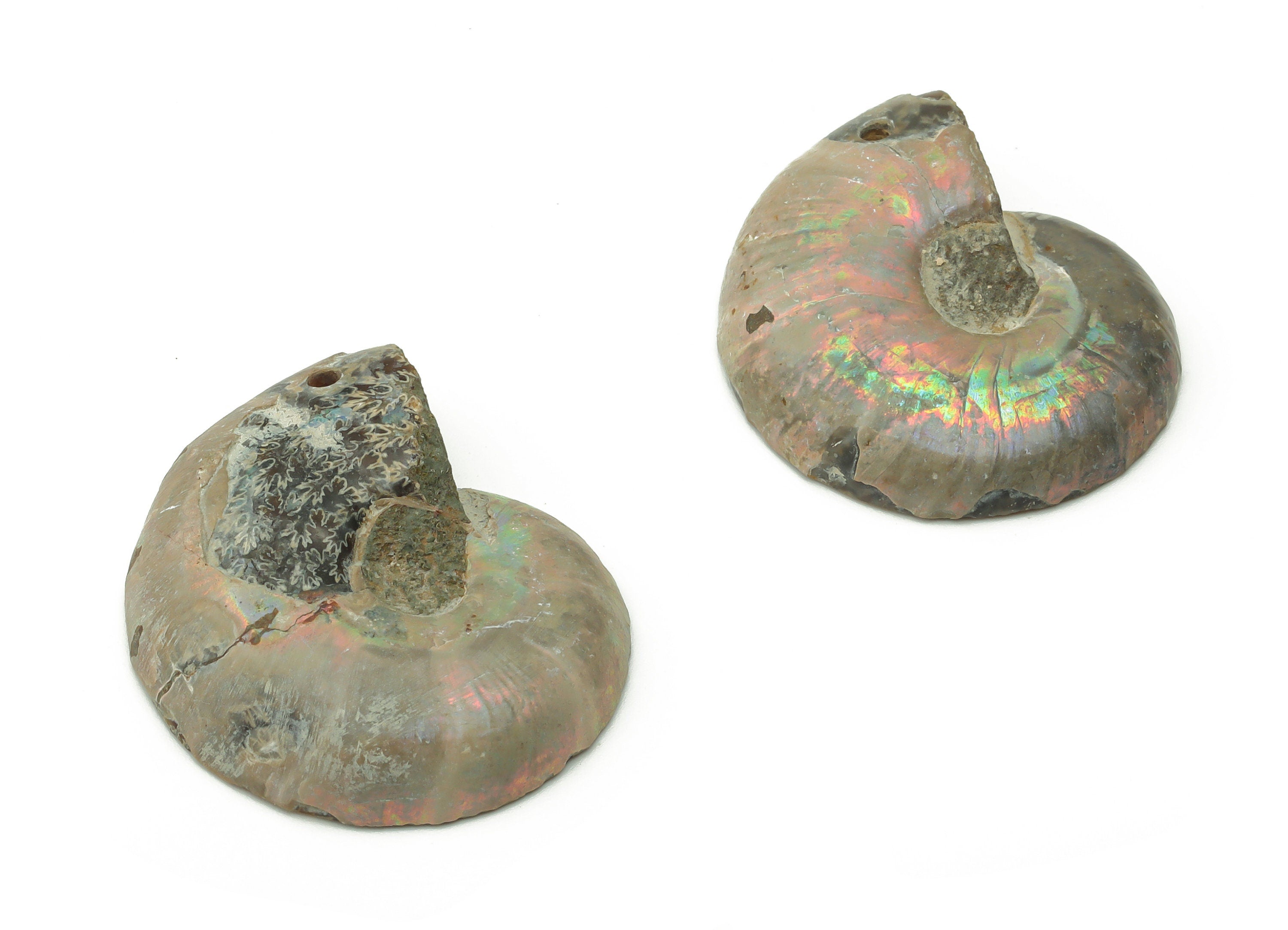 Ammonite Fossil Snails Pendant - Ammonite Fossil Charms – Ammonite Fossil Jewelry – Jewelry Supplies – Average Size - 29x24x7.3mm - NS1557 - DOMEDBAZAAR