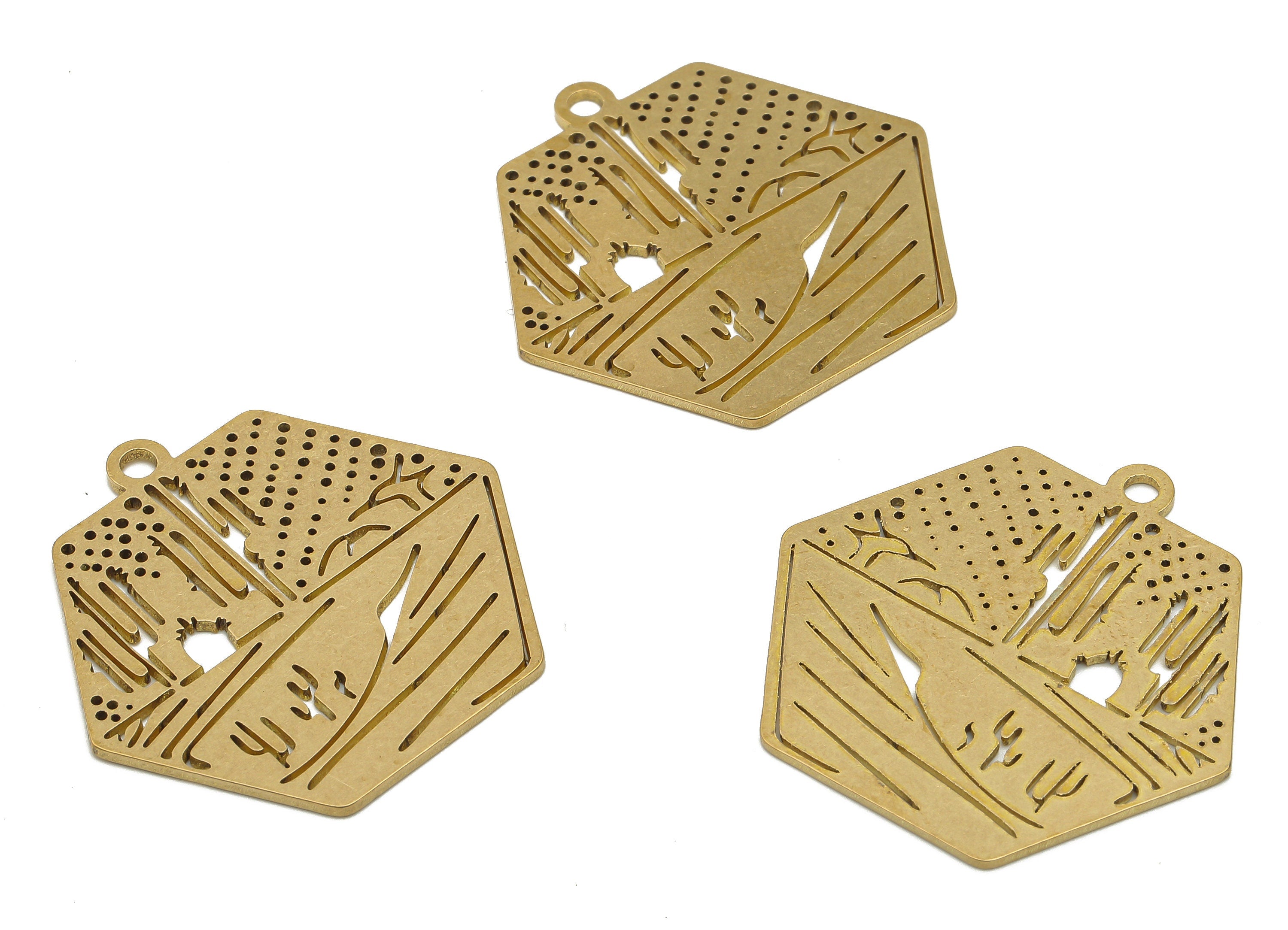 Brass Hexagon Desert Charms - Raw Brass Hexagon Cactus Cutout Earrings Charms - Laser Cut Charms - 31.76x31.07x0.78mm - PPA4454 - DOMEDBAZAAR
