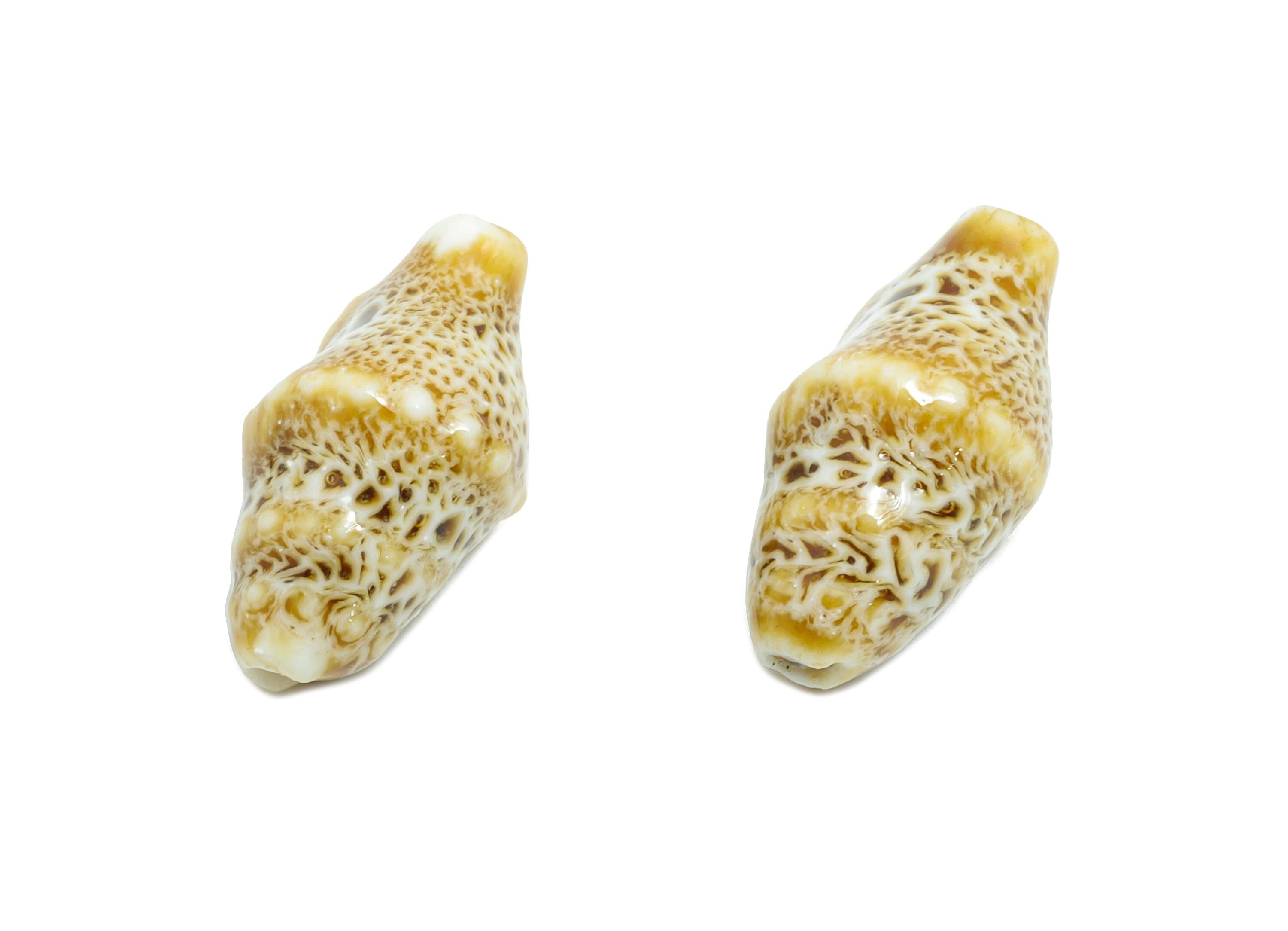 Ceramic Shell Beads - Craft Beads for Necklace or Bracelet - Rustic Coastal Accessories - Textured Making Supplies - 20x11x10.73mm - NS2775J - DOMEDBAZAAR
