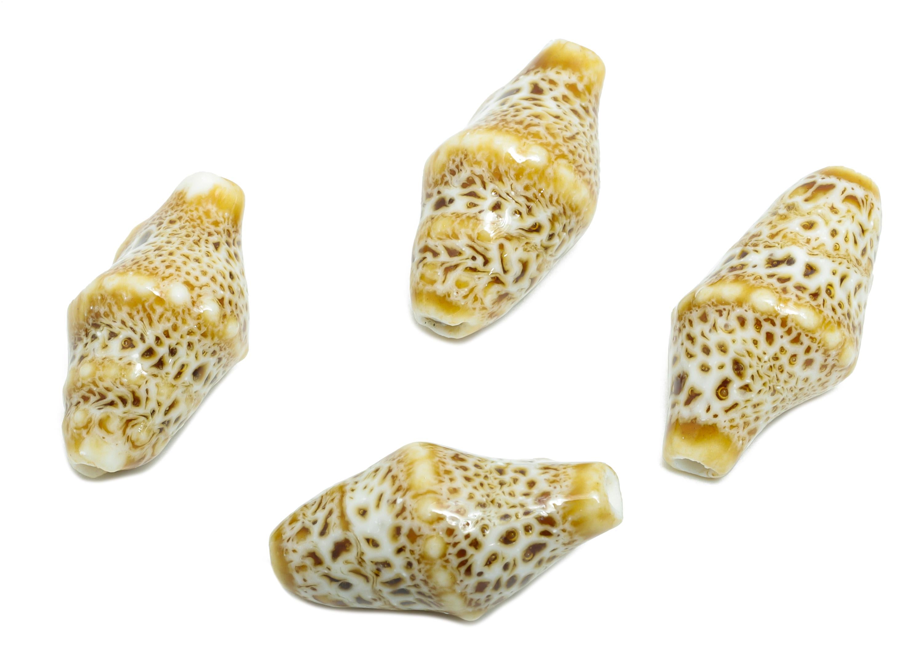 Ceramic Shell Beads - Craft Beads for Necklace or Bracelet - Rustic Coastal Accessories - Textured Making Supplies - 20x11x10.73mm - NS2775J - DOMEDBAZAAR