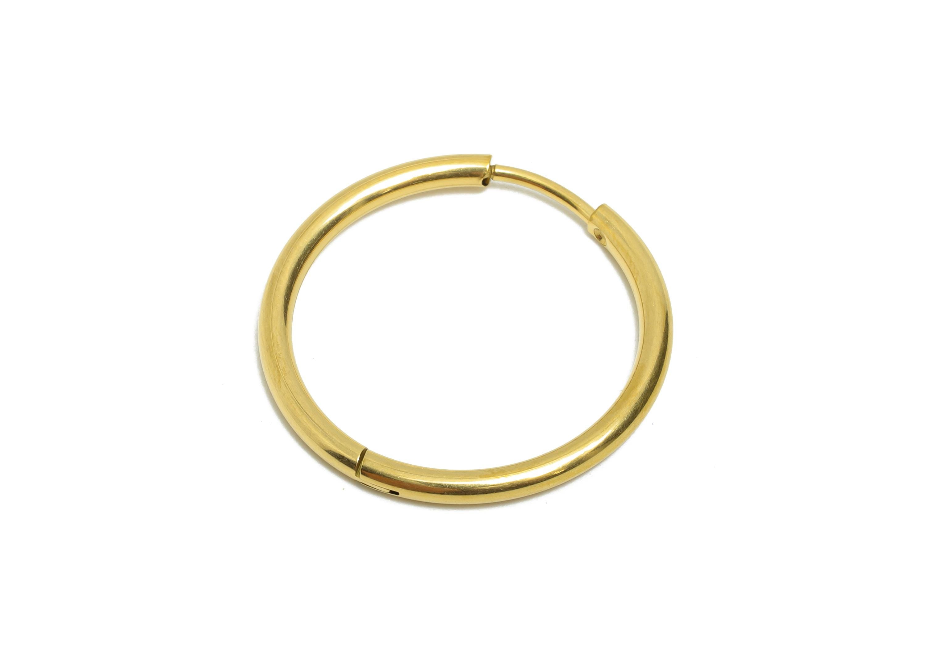 25x2mm Steel Hoop Earrings - Elegant Gold Hoop Earring - Minimalist Circle Huggie Earring - 304 Stainless Steel - 24.7x24.7x2mm - SS1717-20G - DOMEDBAZAAR