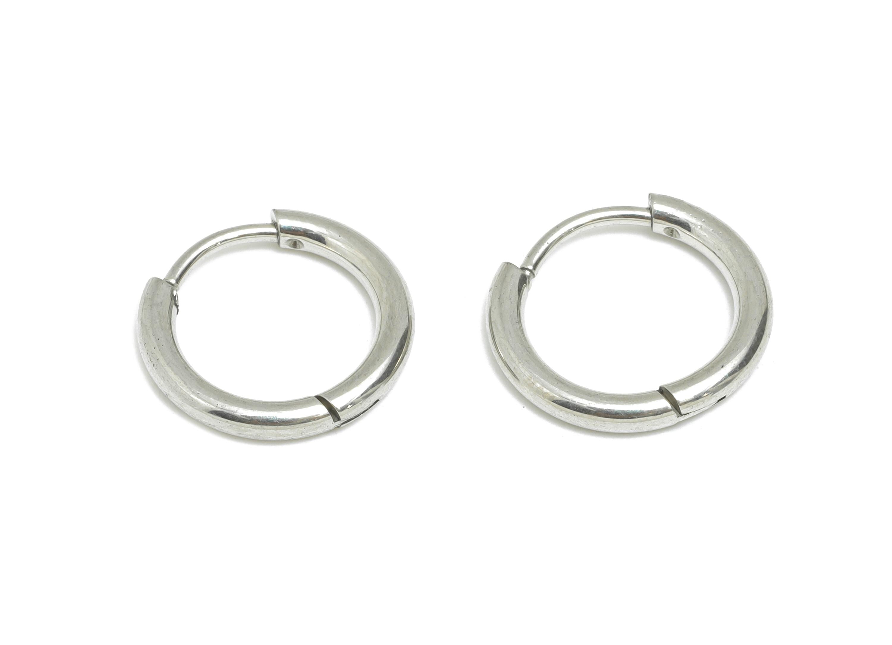 2*10mm Stainless Steel Hoop Earring - Minimalist Huggie Hoop Earring - Classic Clasp Hoop Earring - Everyday Wear - 14x14x2mm - SS1717-10 - DOMEDBAZAAR