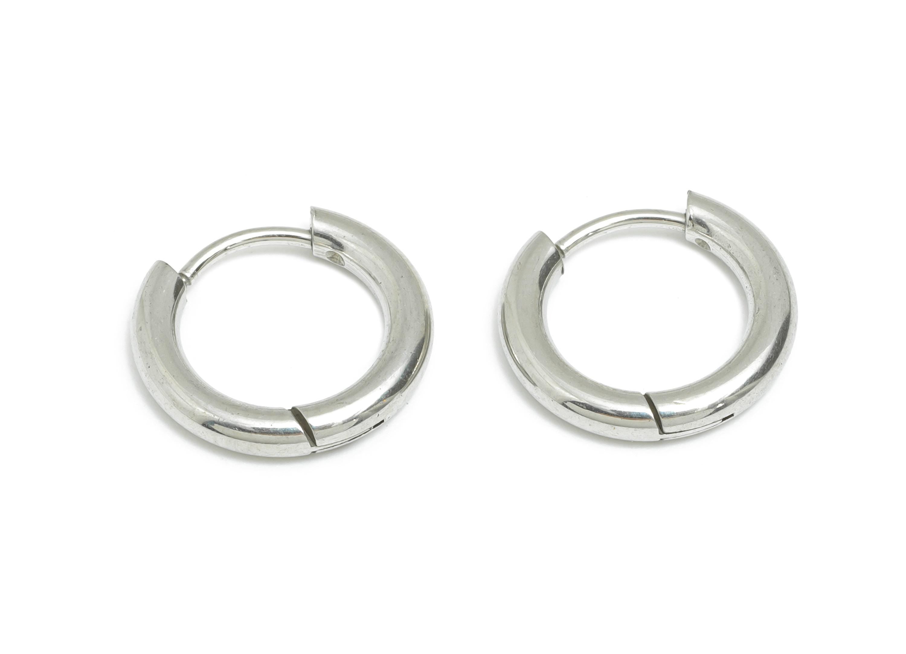 2.5*10mm Stainless Steel Hoop Earring - Minimalist Huggie Hoop Earring - Modern Clasp Hoop Earring - Everyday Wear - 15x15x2.5mm - SS1718-10 - DOMEDBAZAAR