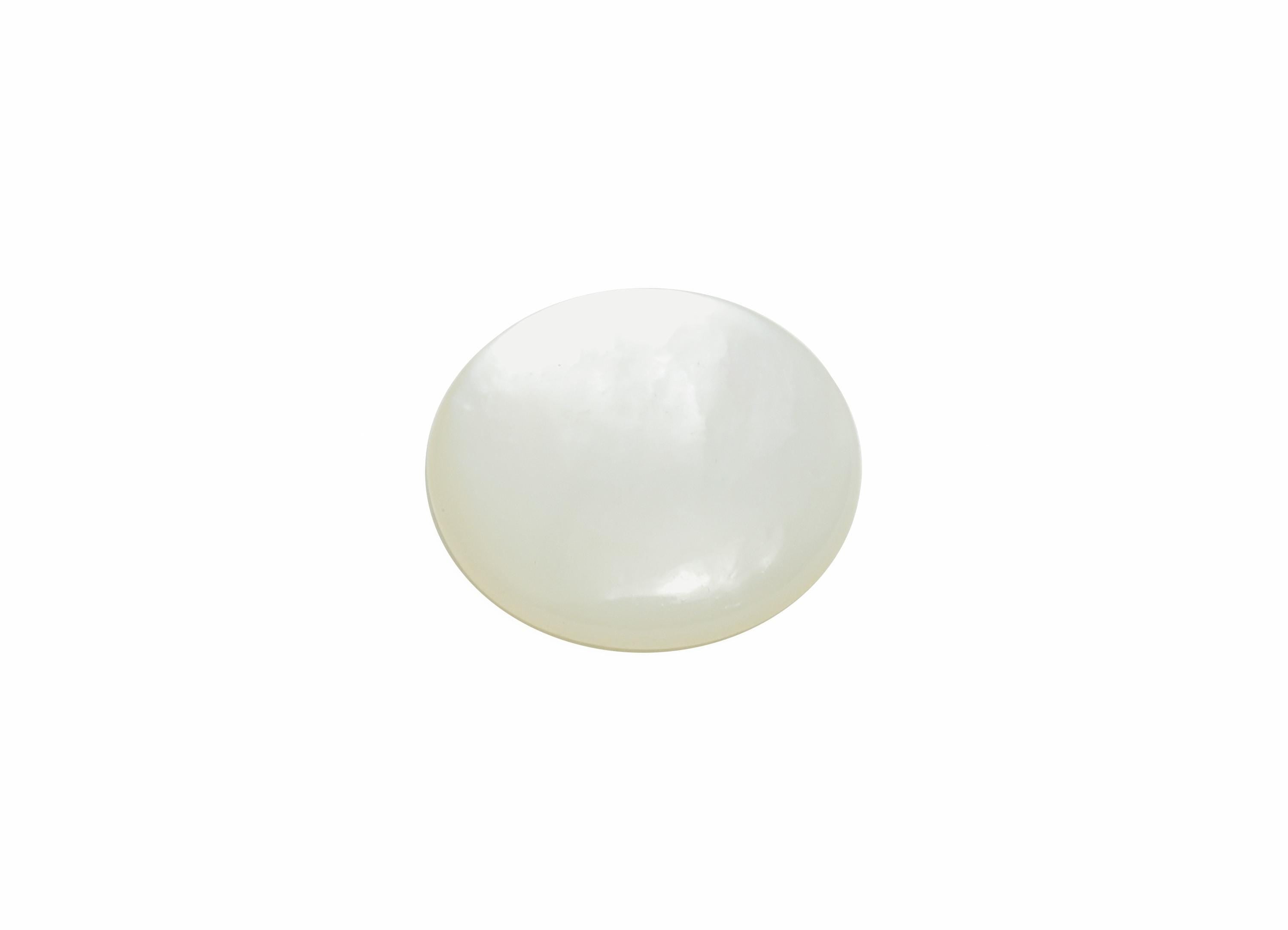 10mm Round Natural White Shells Cabochon - Cabochon DIY Gemstone Setting - Cabochon for Rings or Pendants - Jewelry Cabochon - NS3047