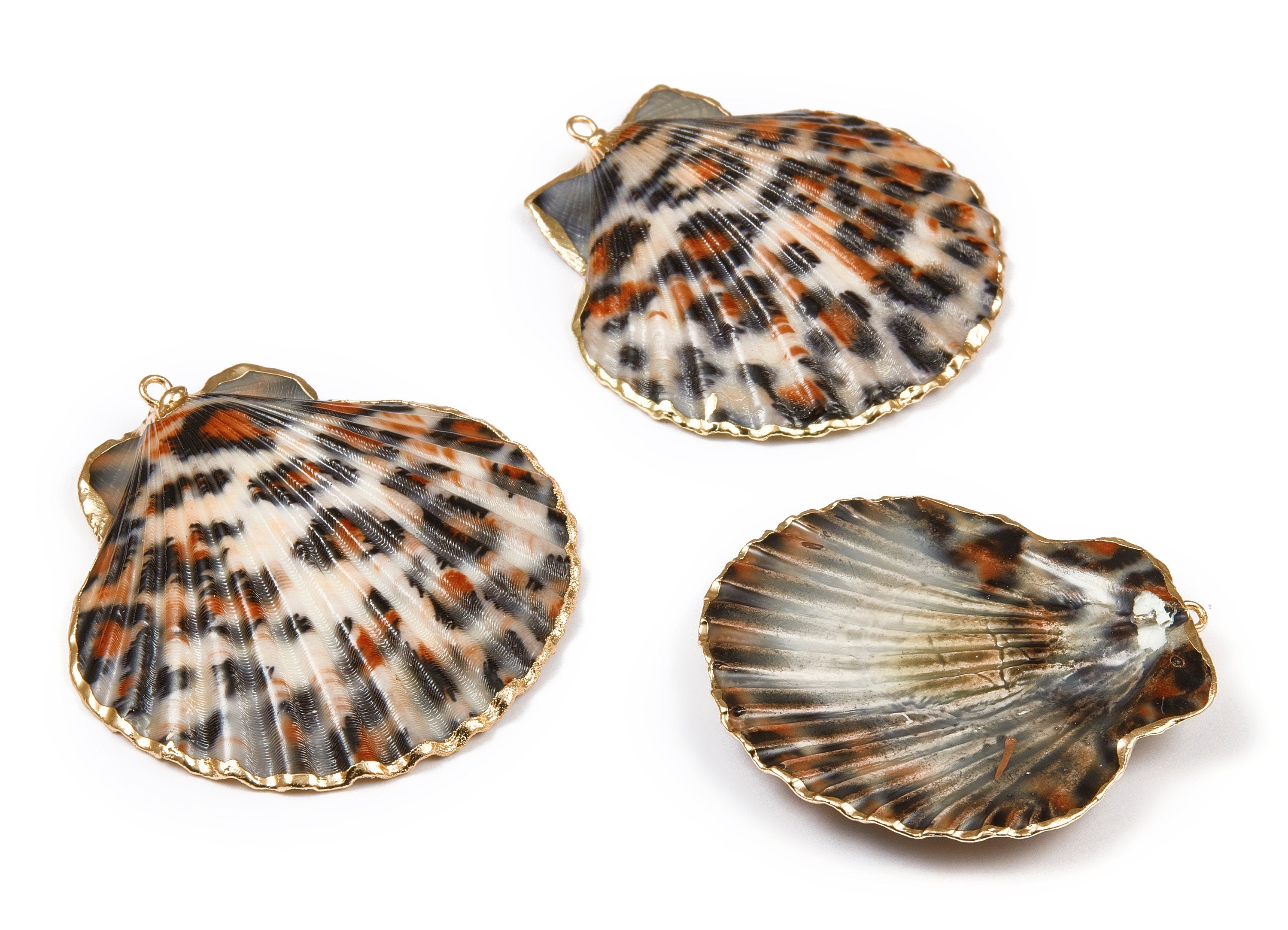 Mussel Shell Charms - Seashell Earrings and Pendant - Gold Tone Plated Earrings - 1 Hole - 50.32x48.7x2.15mm - SF1011B - DOMEDBAZAAR