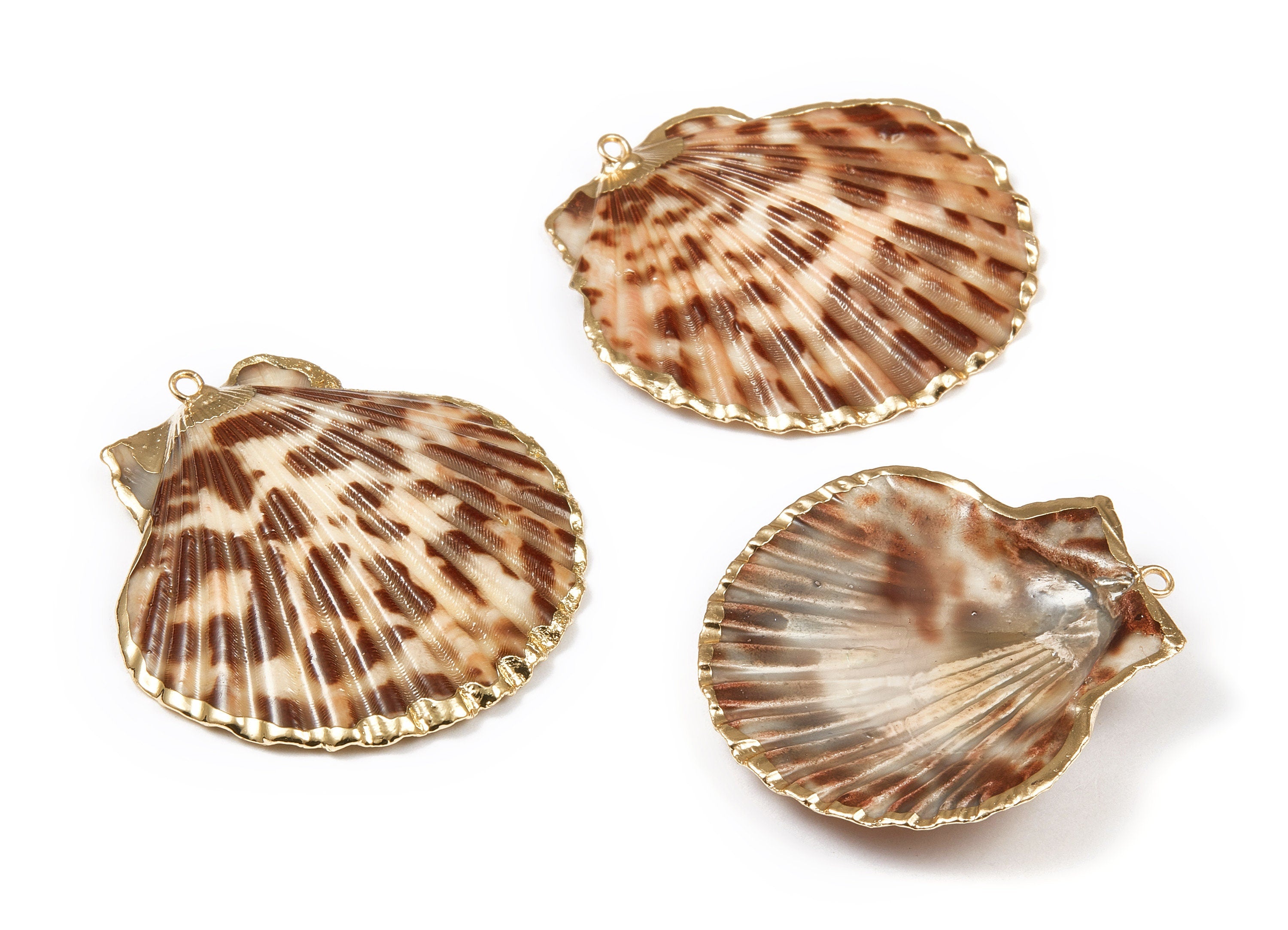 Mussel Shell Charms - Seashell Earrings and Pendant - Gold Tone Plated Earrings - 1 Hole - 50.32x48.7x2.15mm - SF1011C - DOMEDBAZAAR